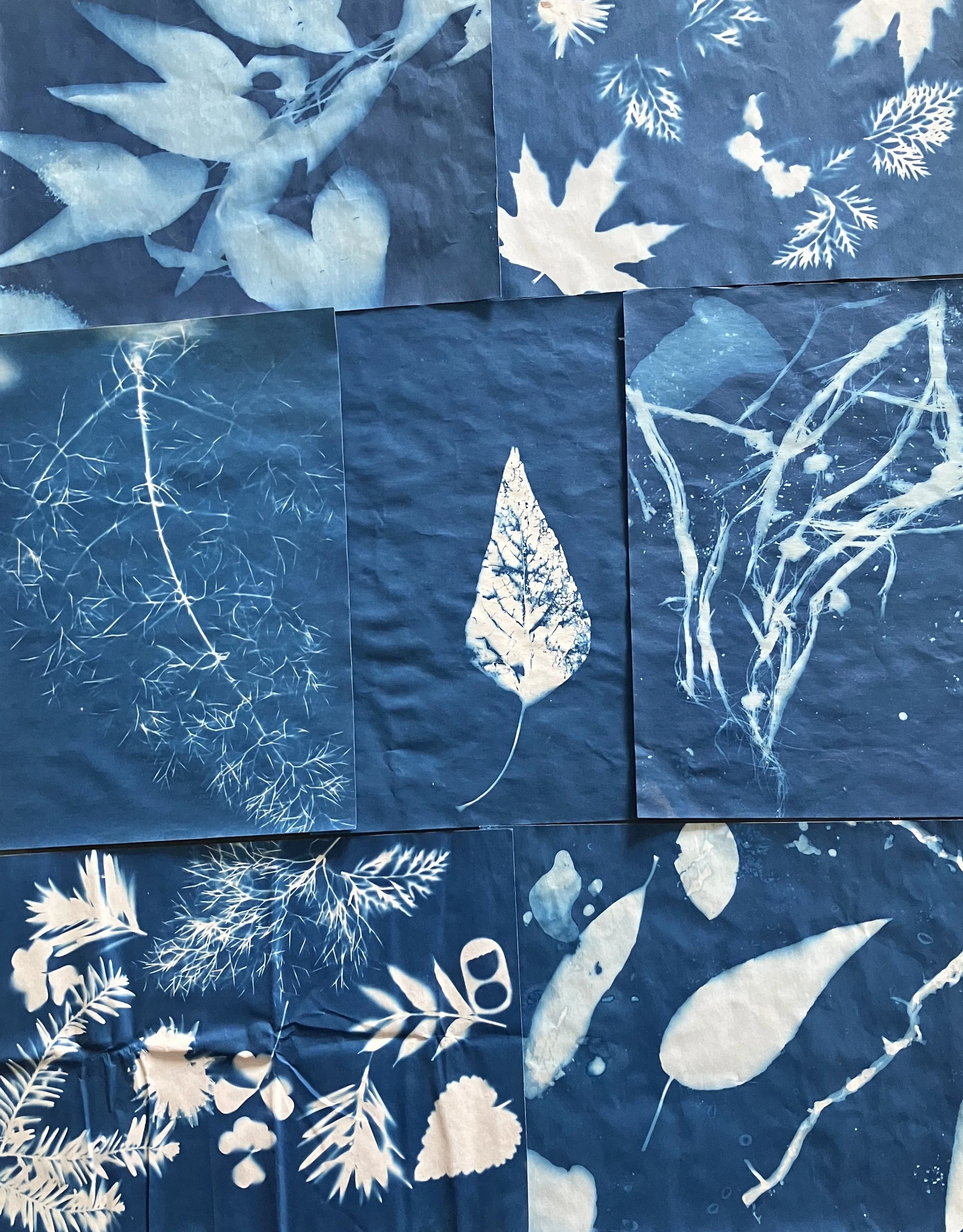 rolling submissions open for solar-themed art show through August 31