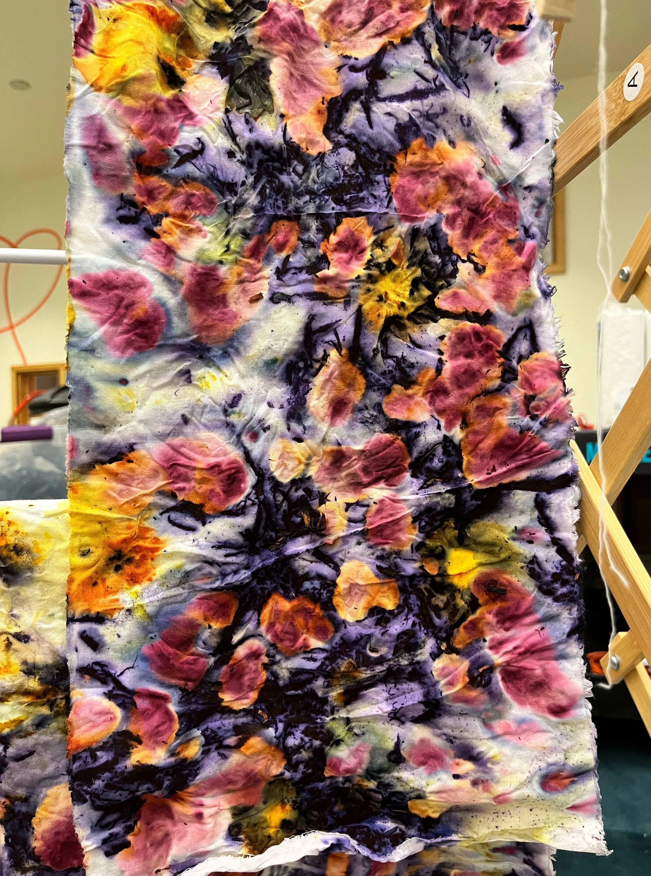 8C156943-5331-4931-98FA-C635A5712B68 - Lilah S.jpeg