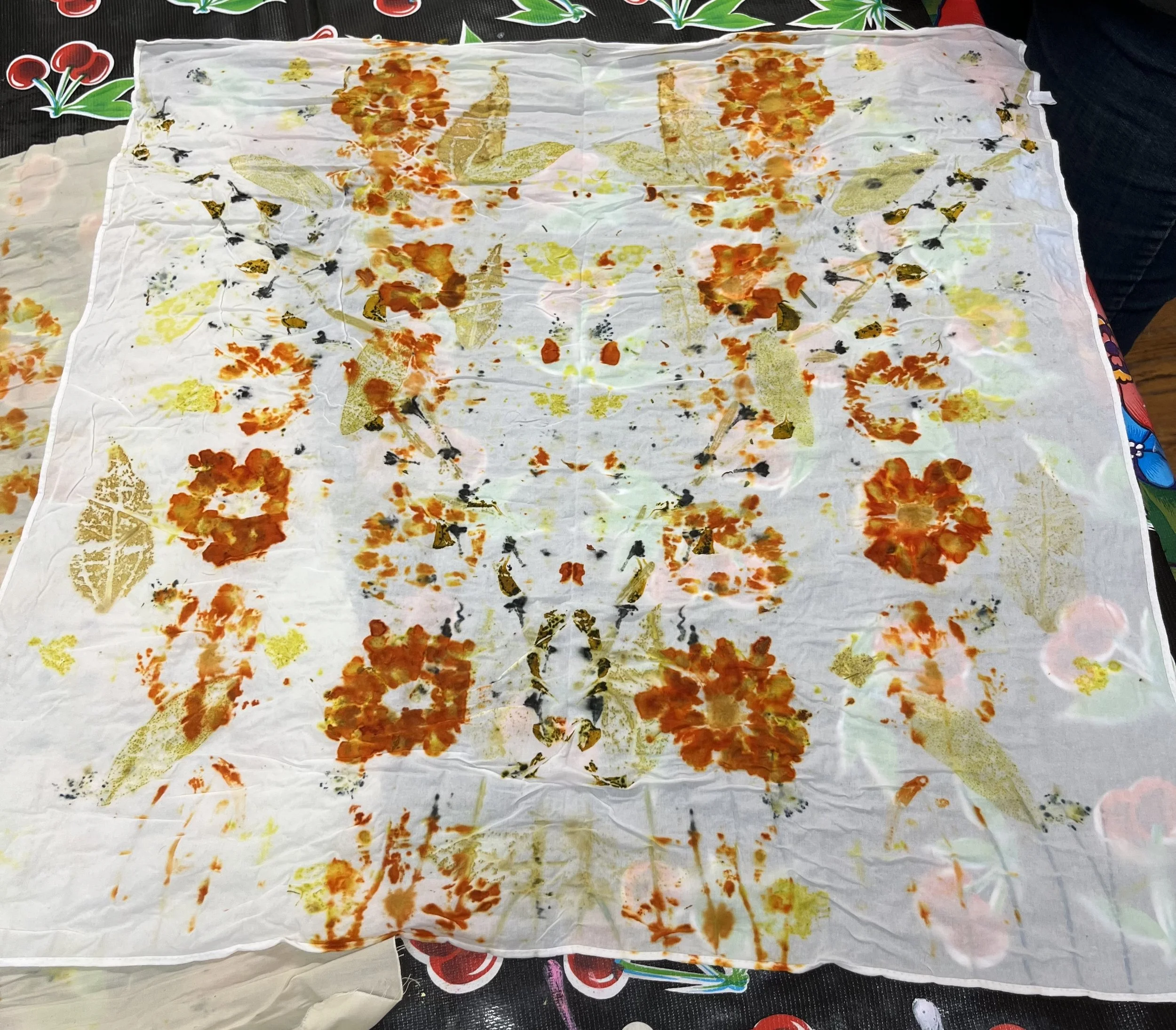 IMG_8130 - Lilah S.jpeg