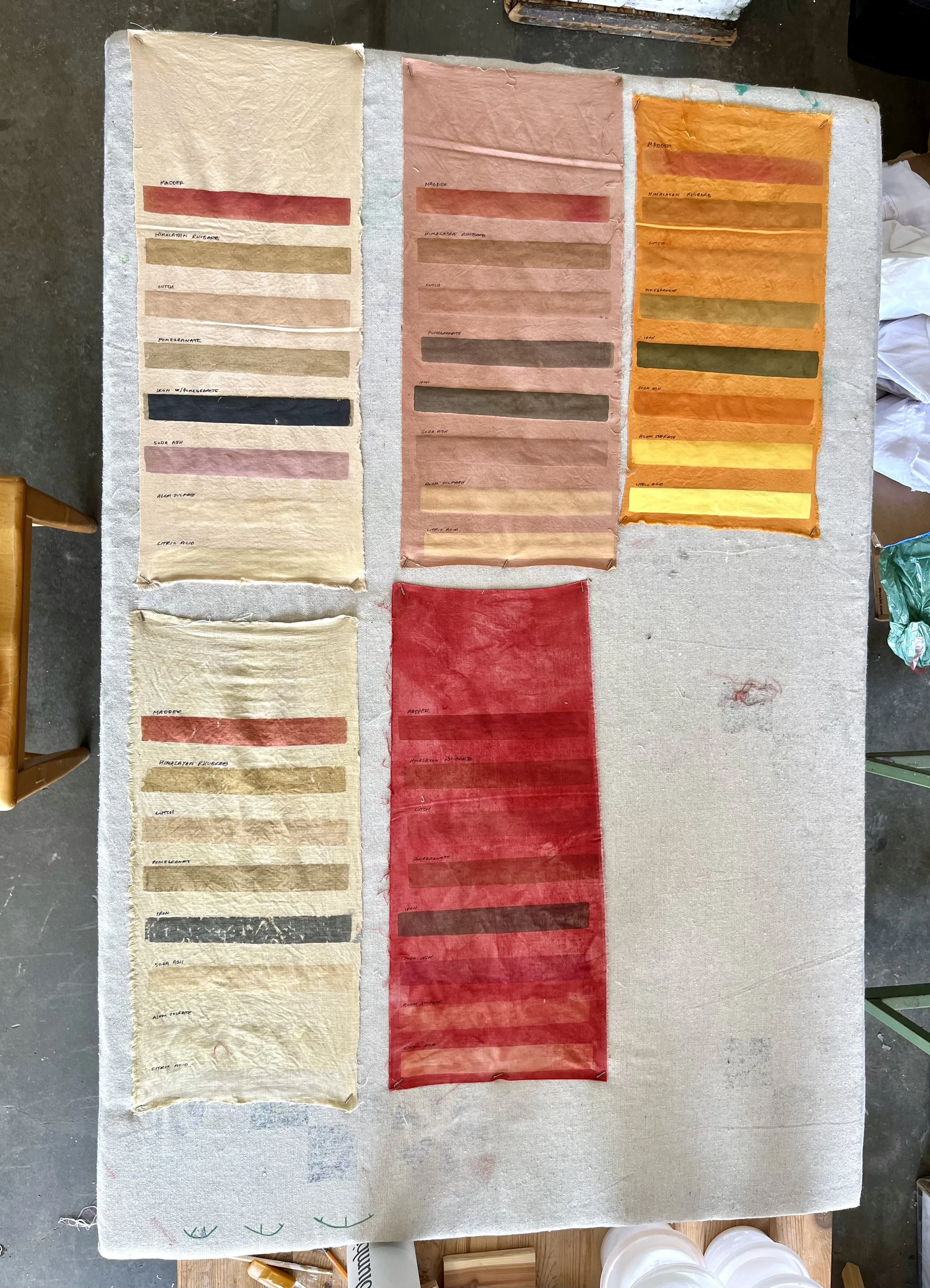 IMG_6779 - Lilah S.jpeg