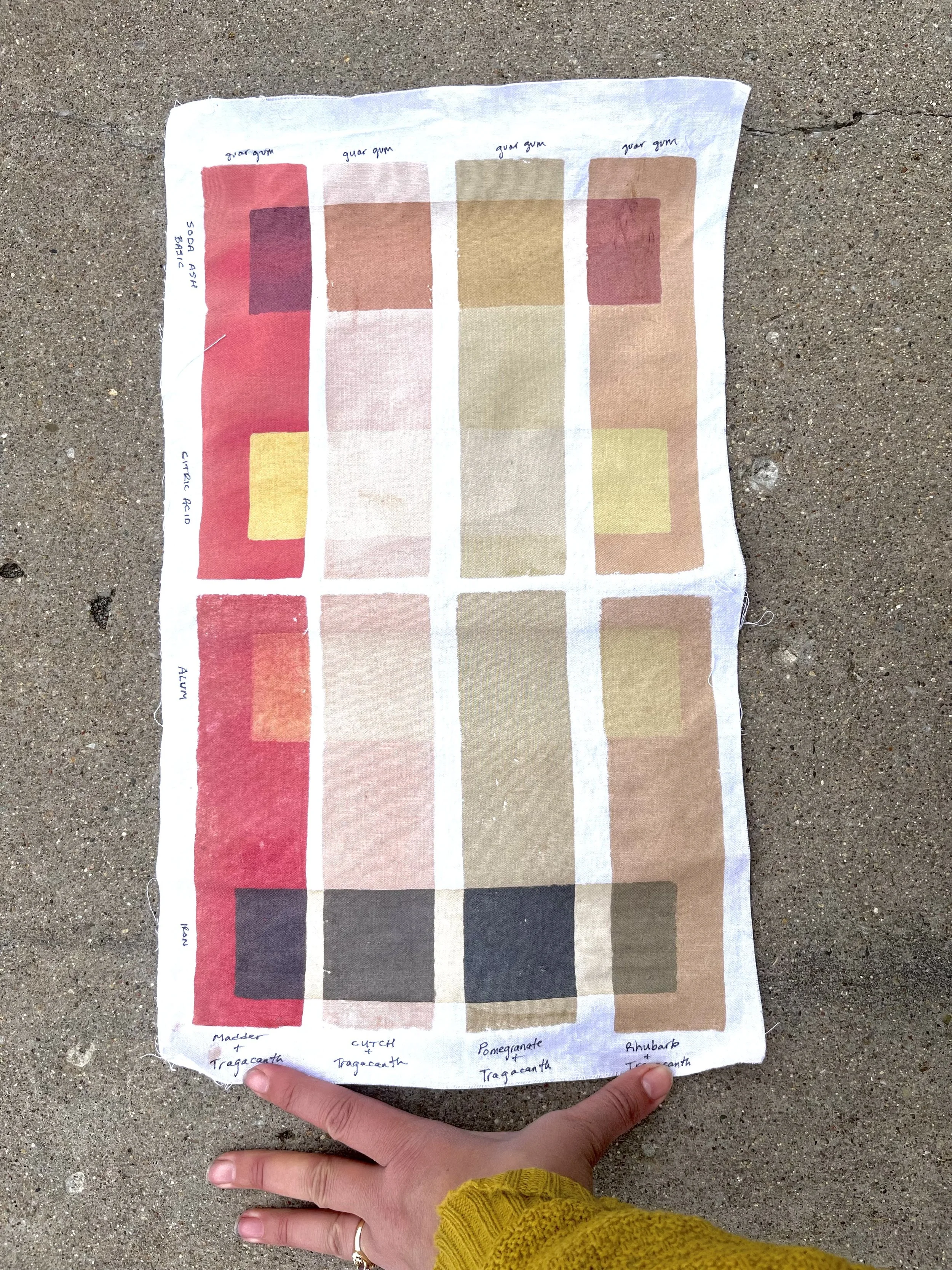 Screenprinting with Natural Dyes &amp; Modifiers on Fabric