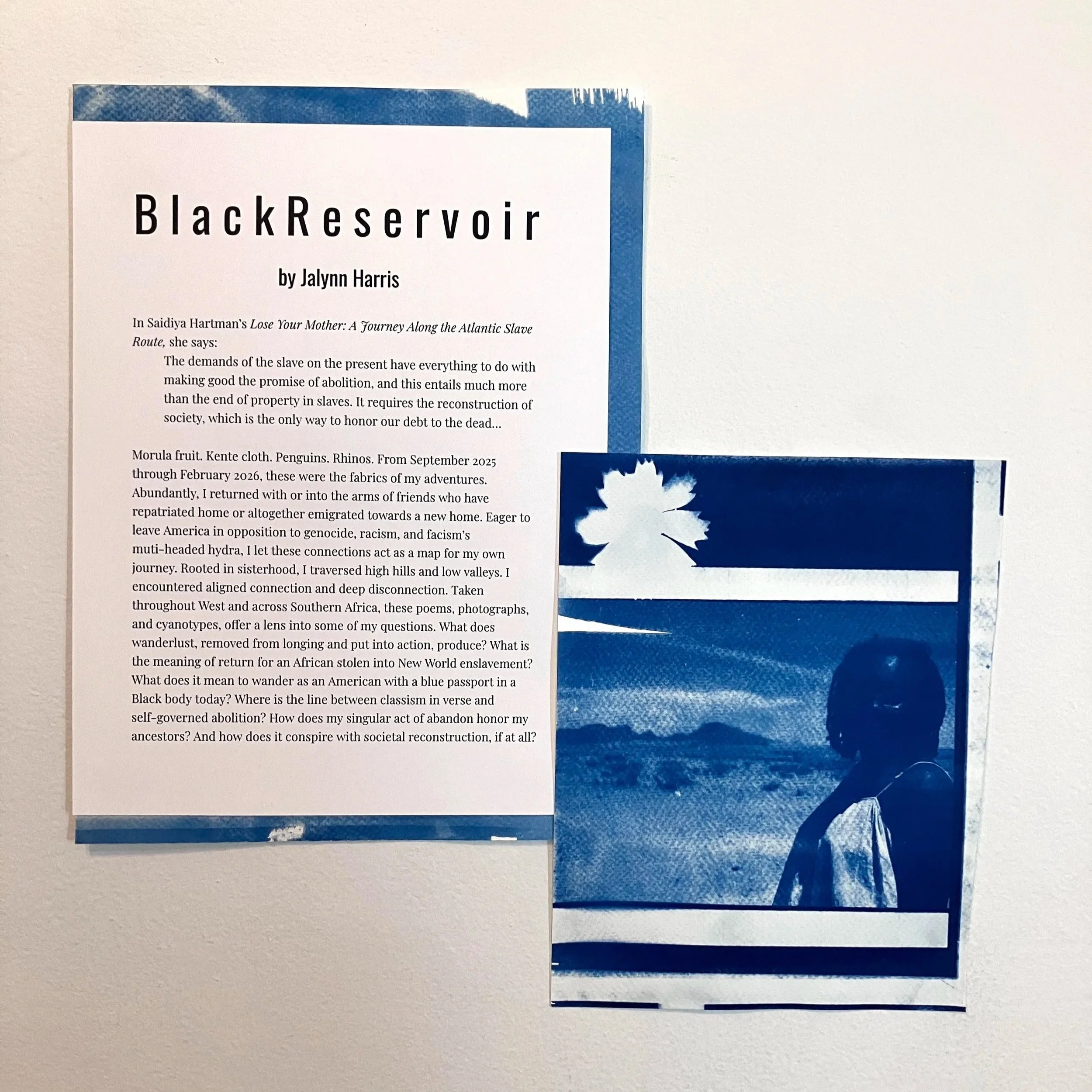 Jalynn Harris: Black Reservoir