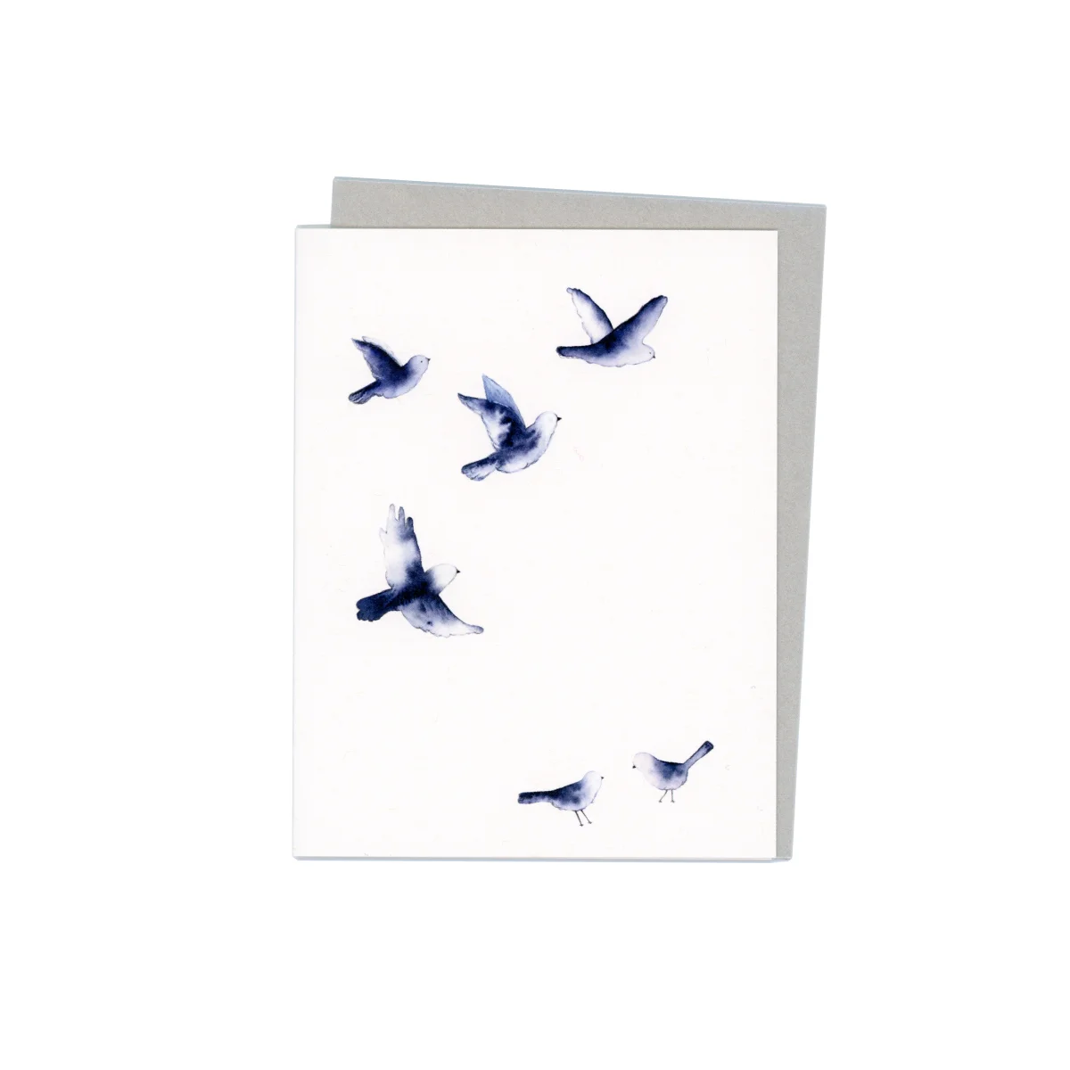 WEB_BLUE_BIRDS-01.jpg