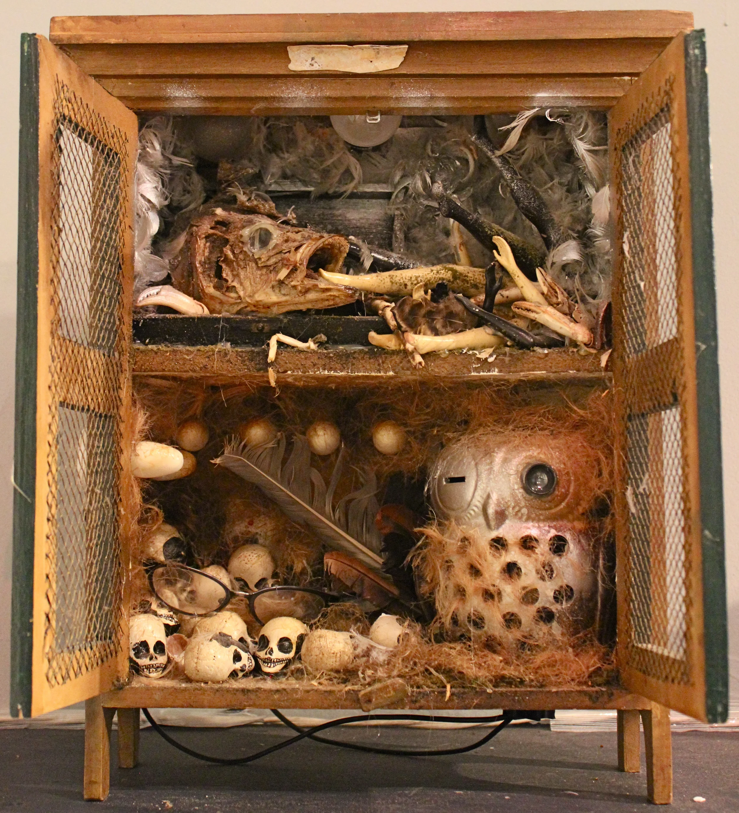 Wisdom; Petrified (lights out)