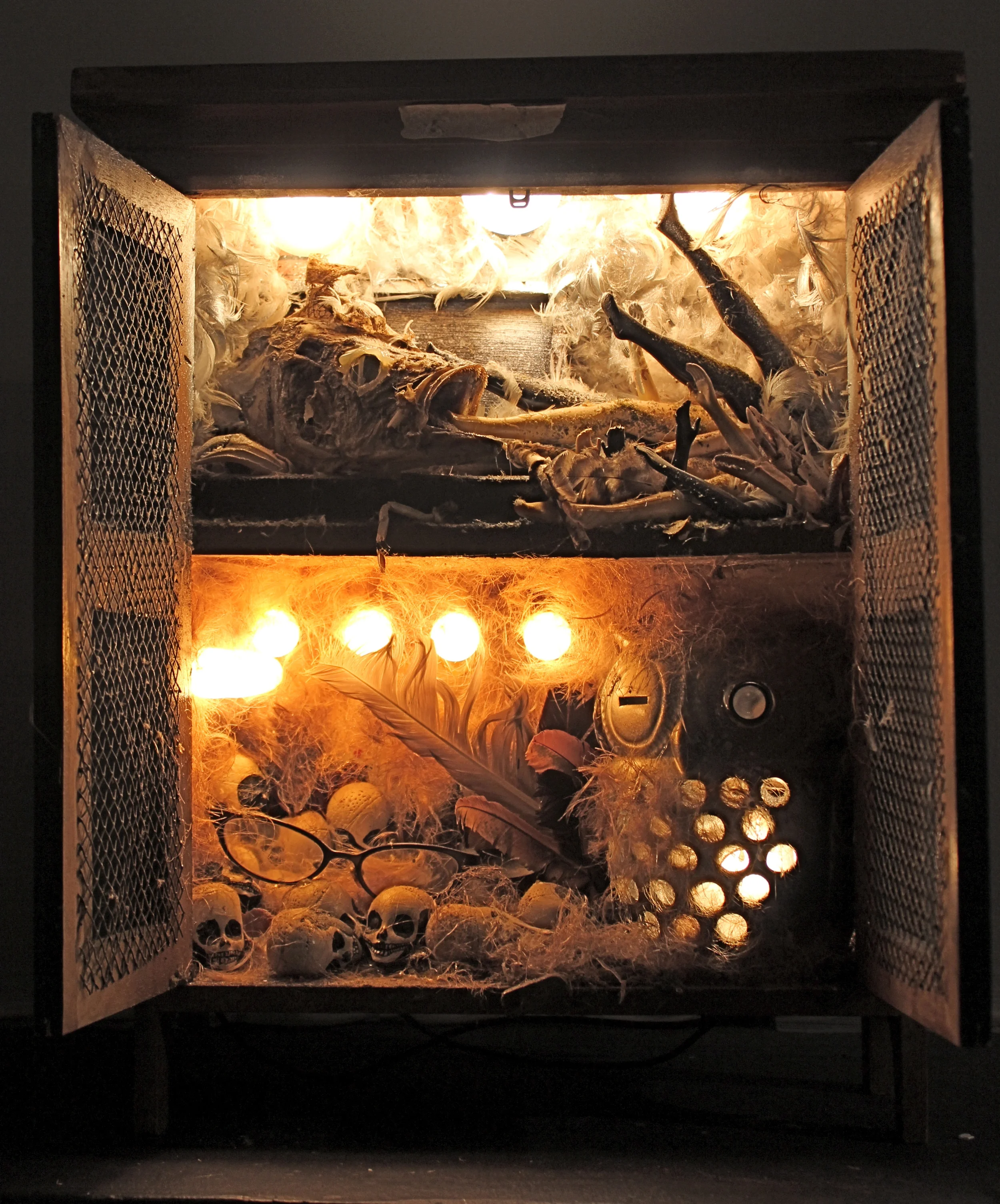 Wisdom; Petrified (illuminated)