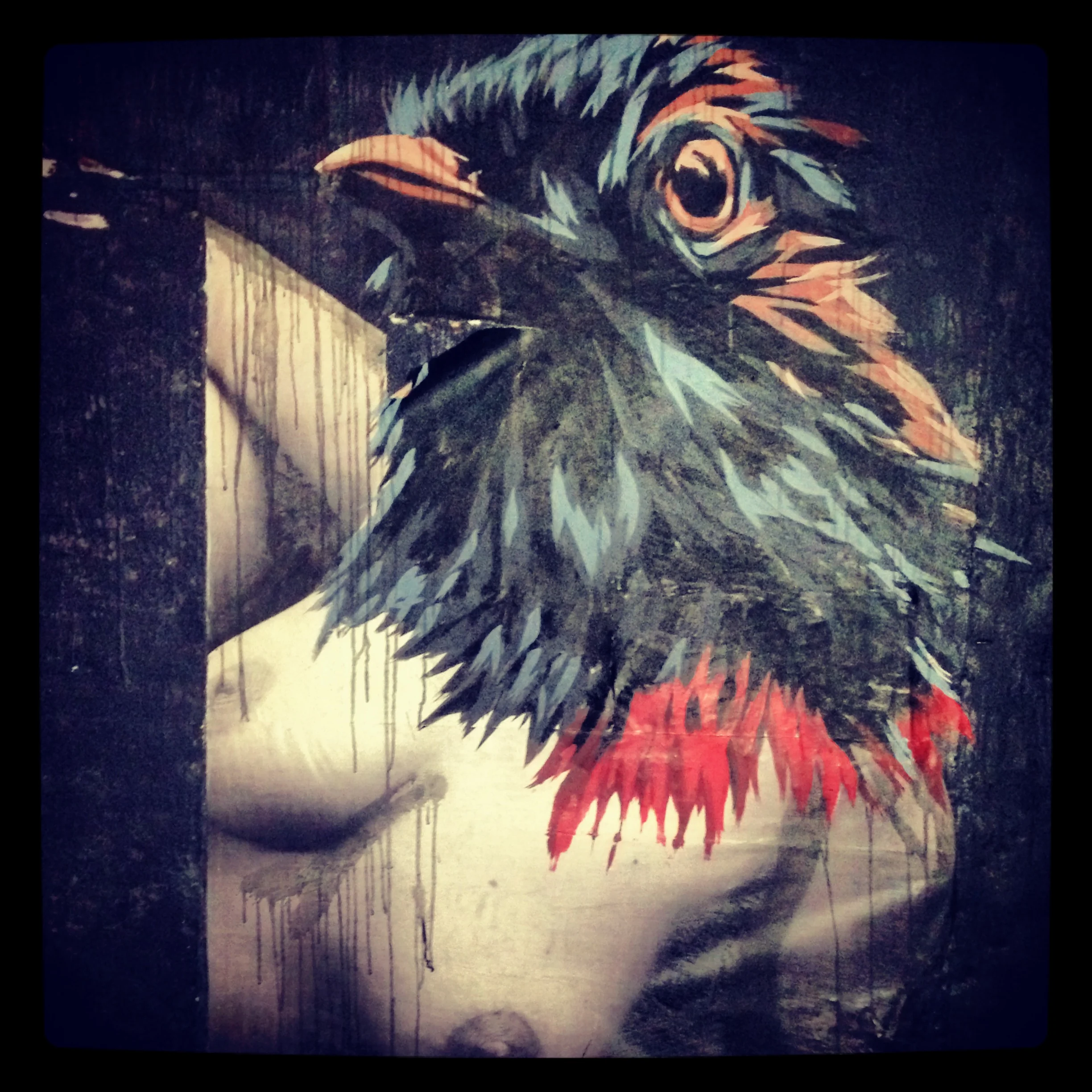 birdhead.JPG