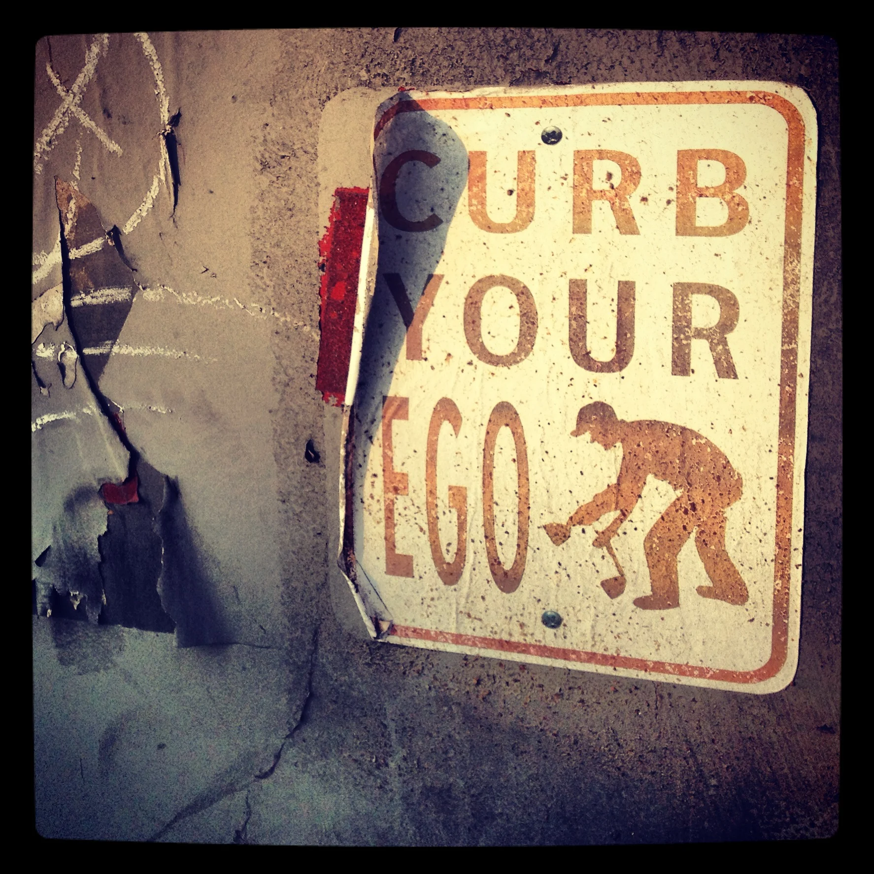curb your ego.JPG