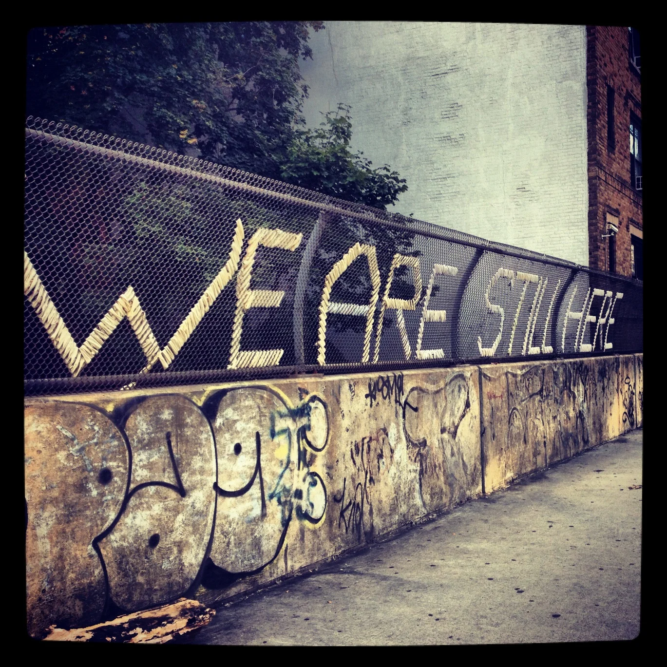 we are still here.JPG