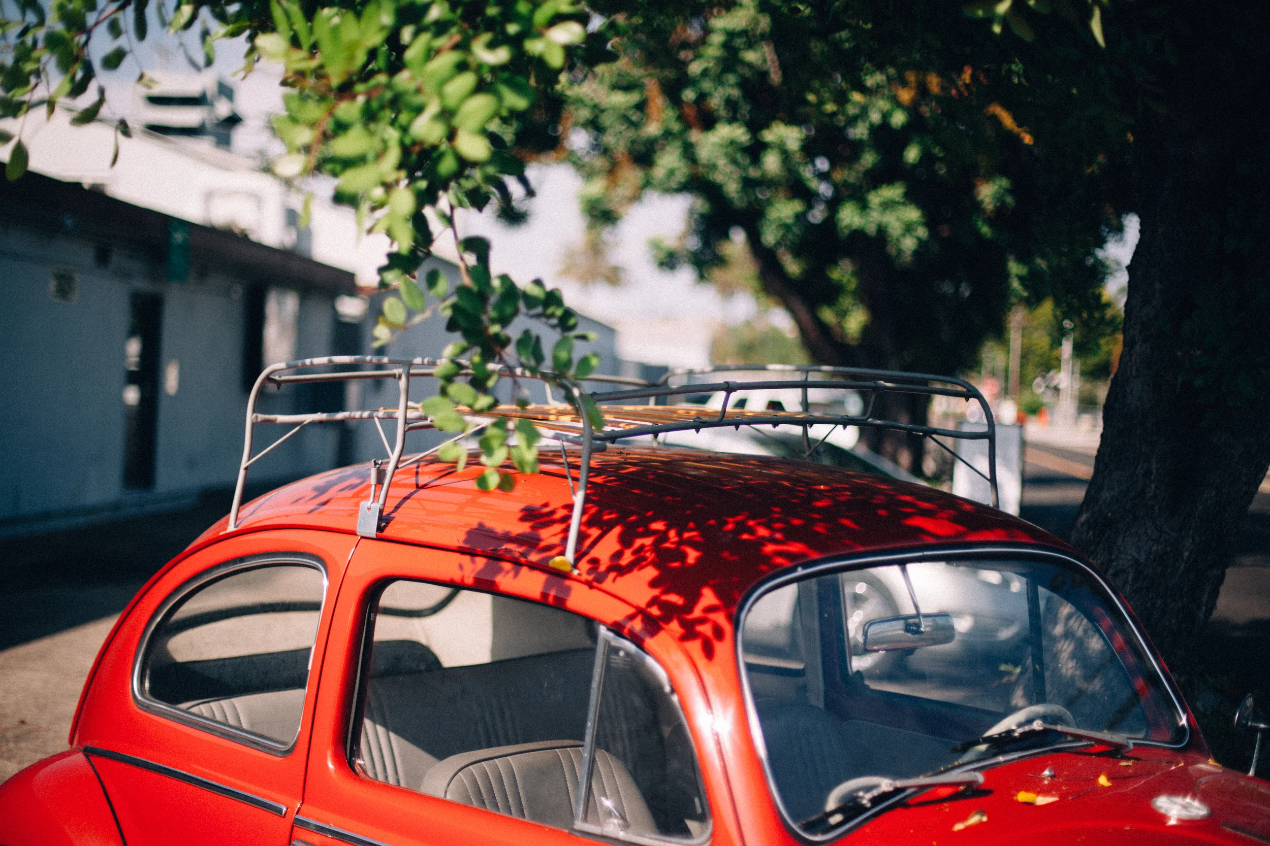 Drew Shannon Photography_IMG_5955_2014.jpg