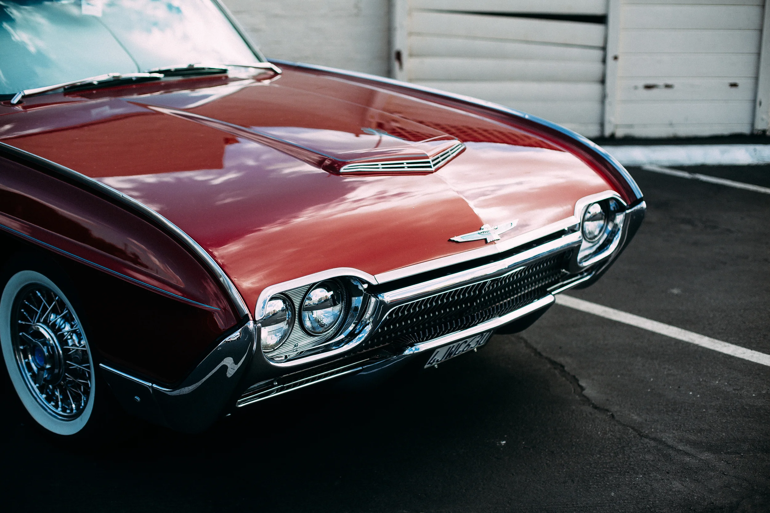 Drew Shannon Photography_IMG_6691_2014.jpg