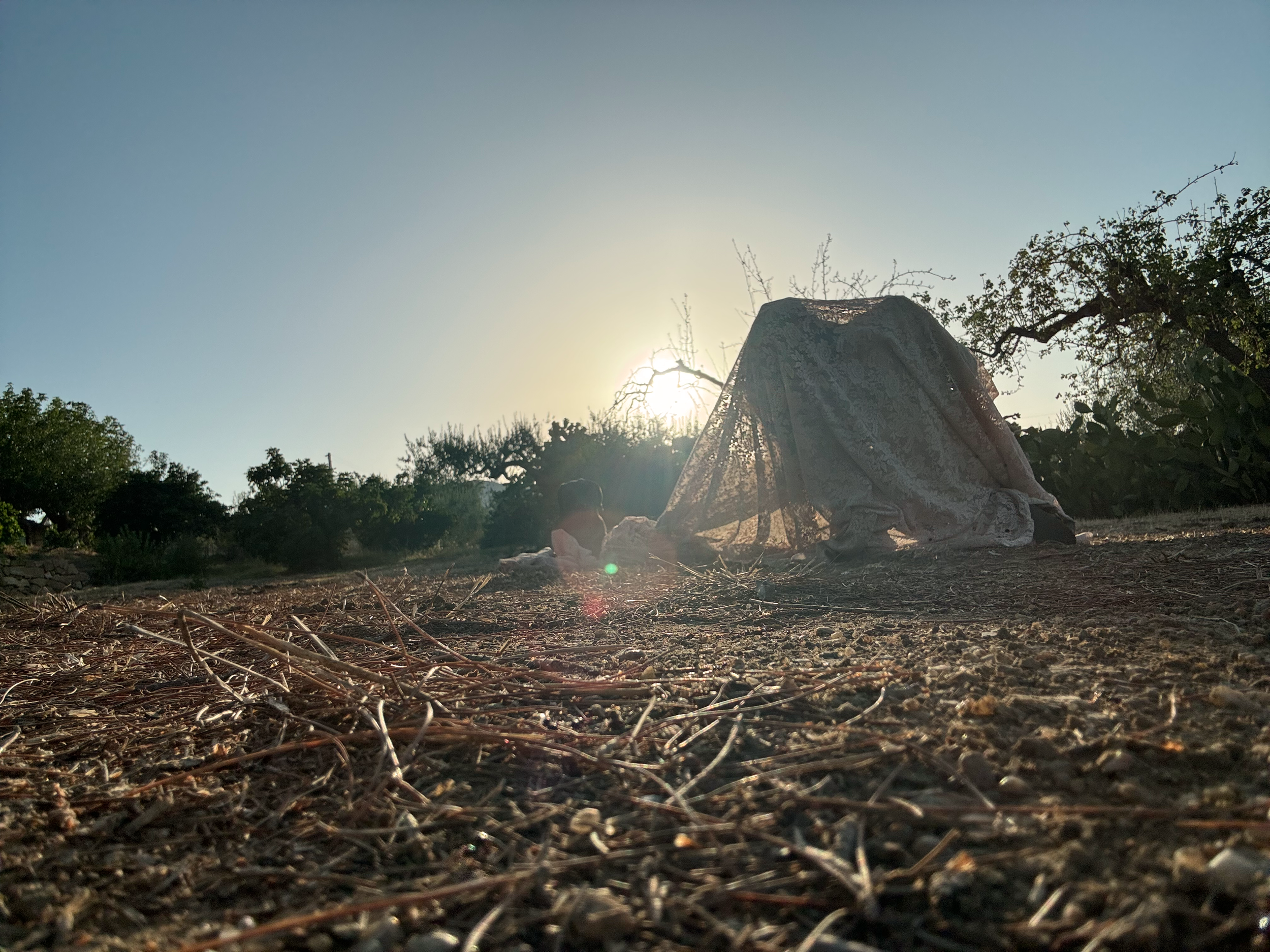 Dog on Lace Stretched.png