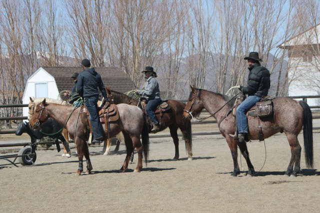 western riders.jpg