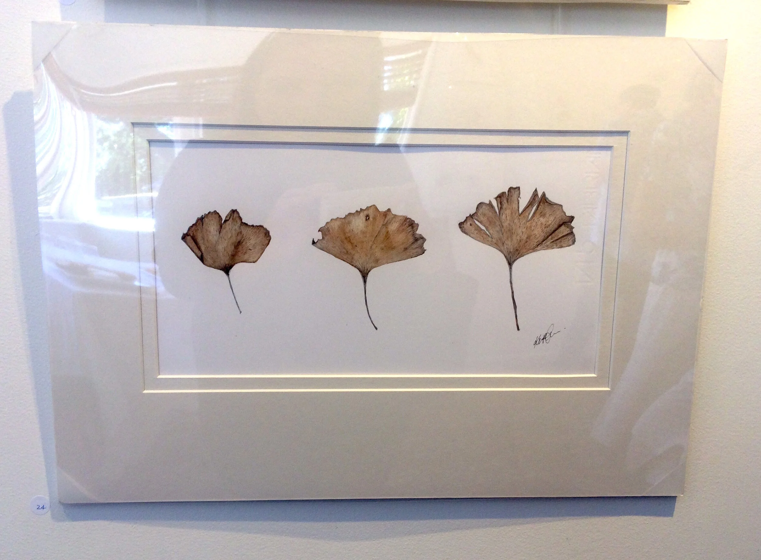 Autumnal Dried Gingko Leaves - CURRENTLY UNAVAILABLE