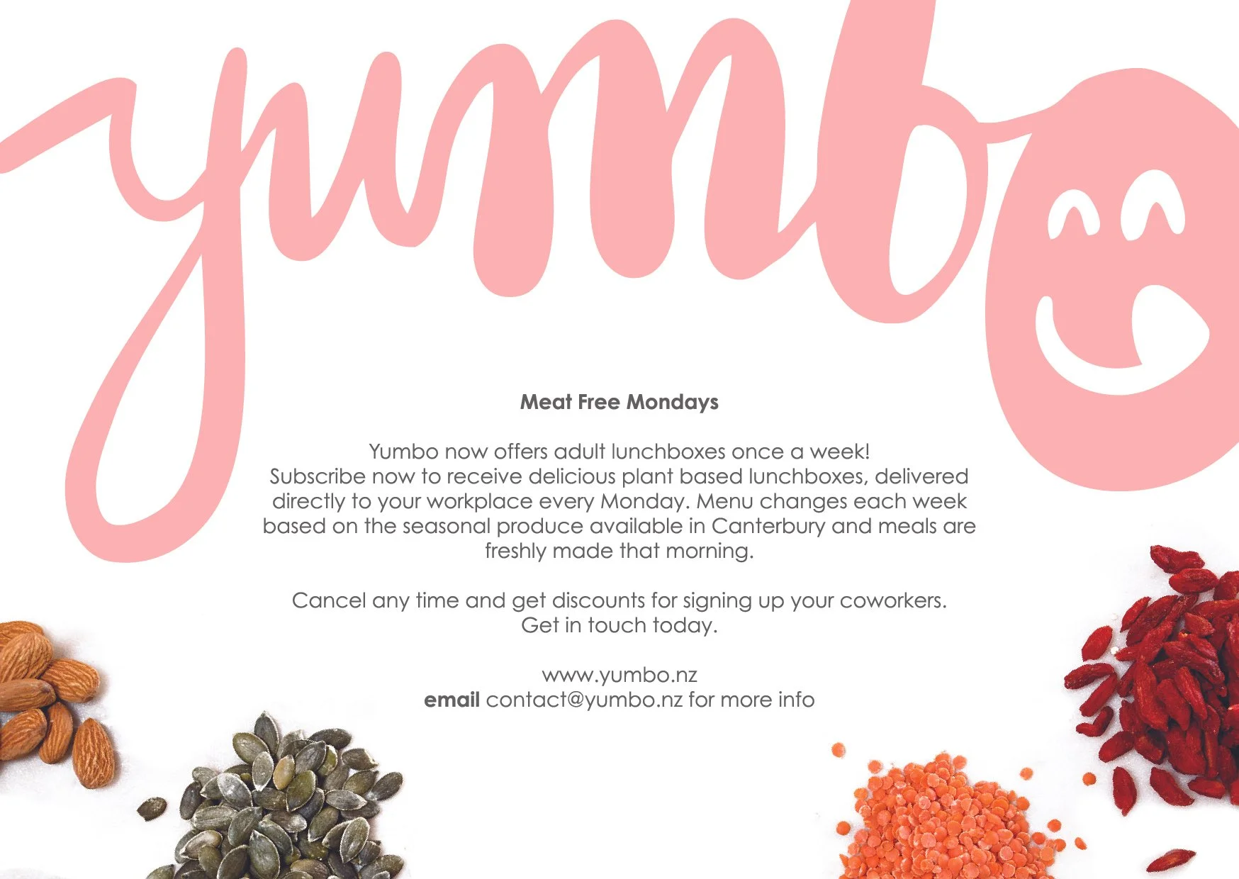 Yumbo flier adults.jpg