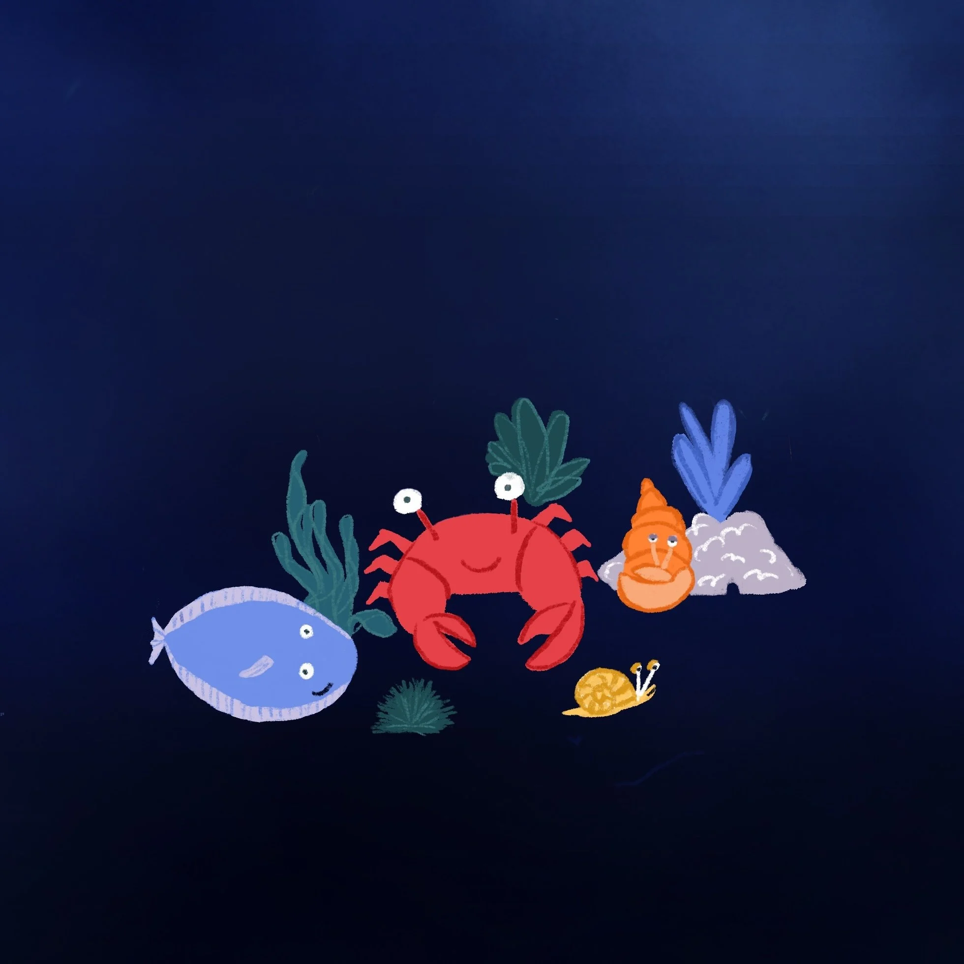 crab_and_friends.jpg