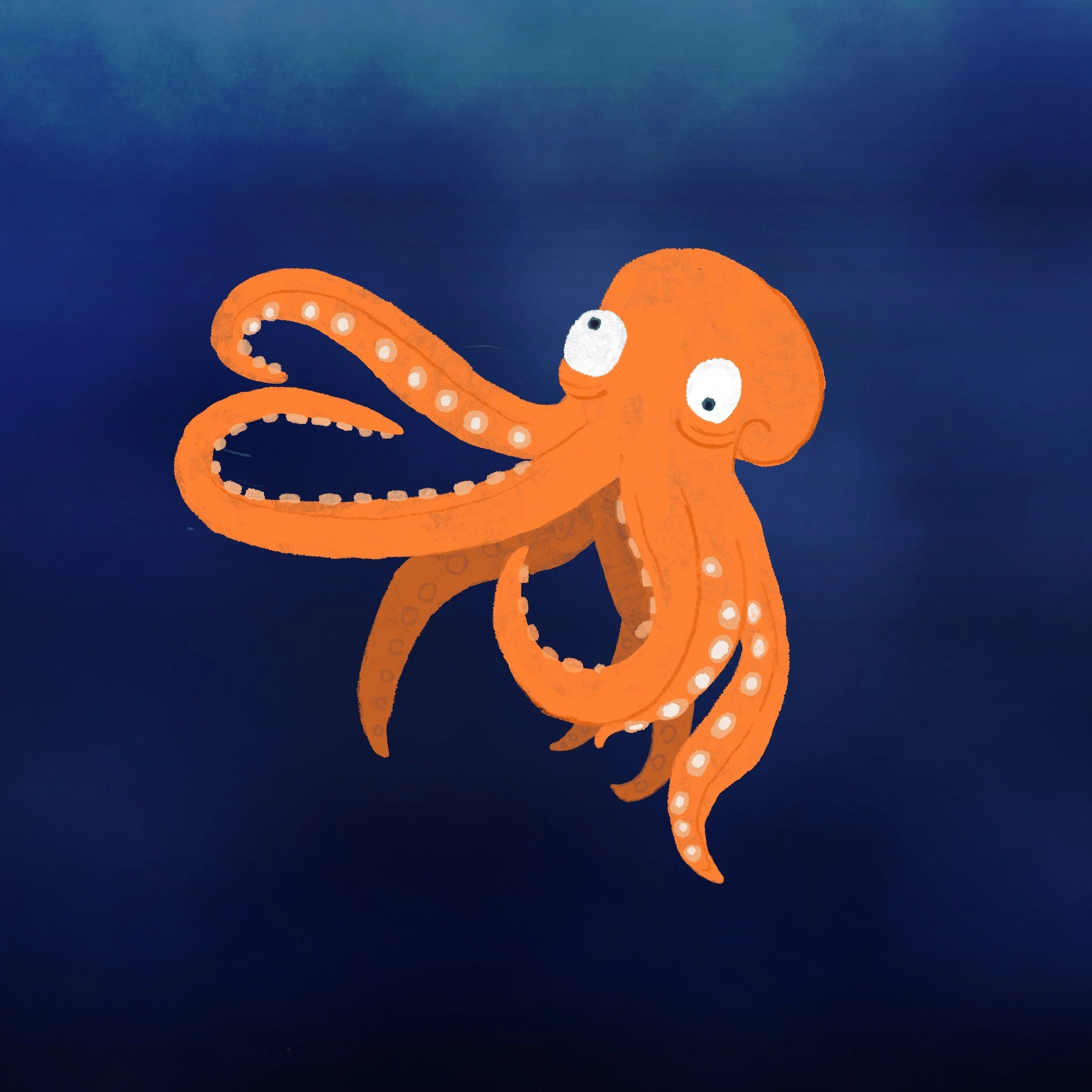 octopus.jpg