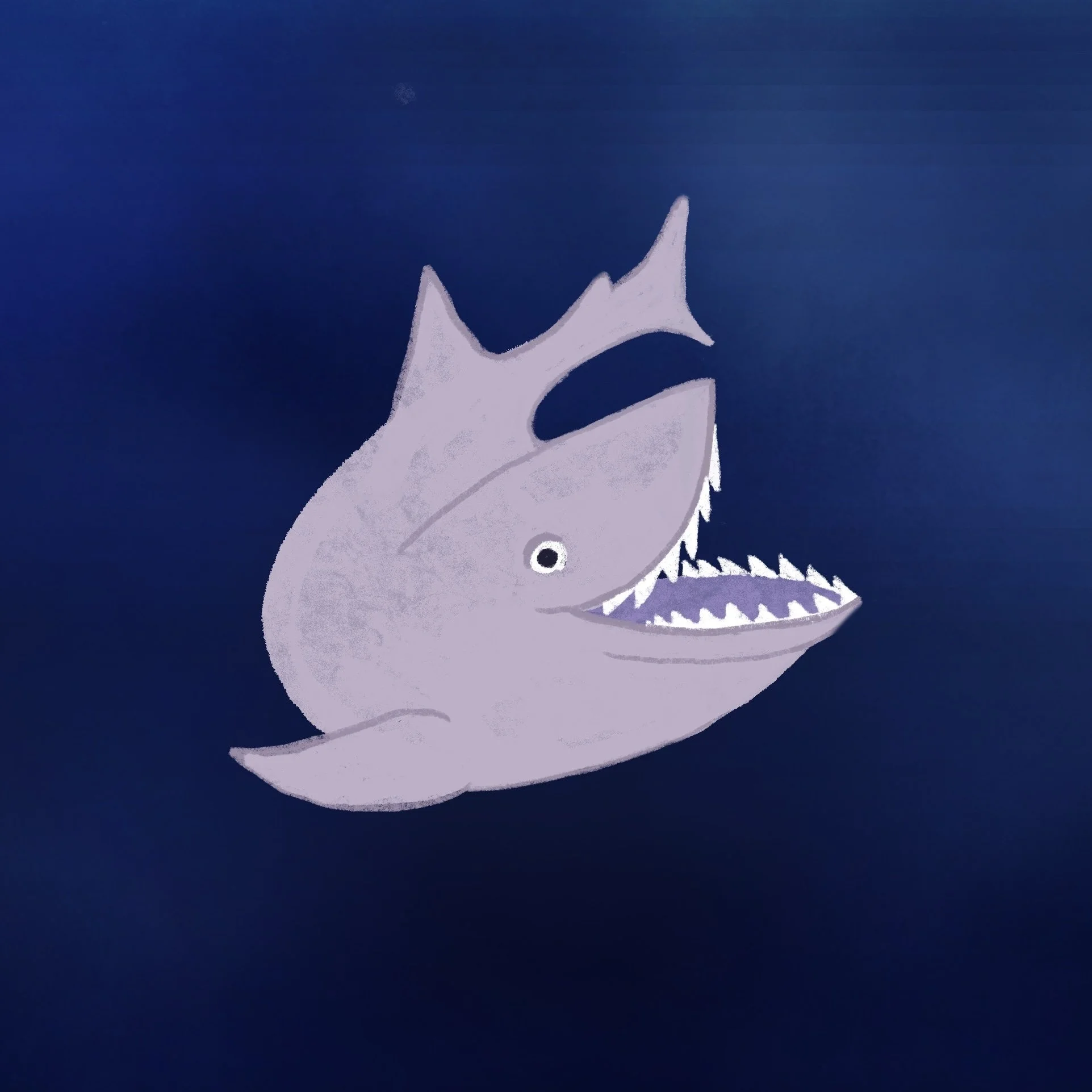 shark.jpg