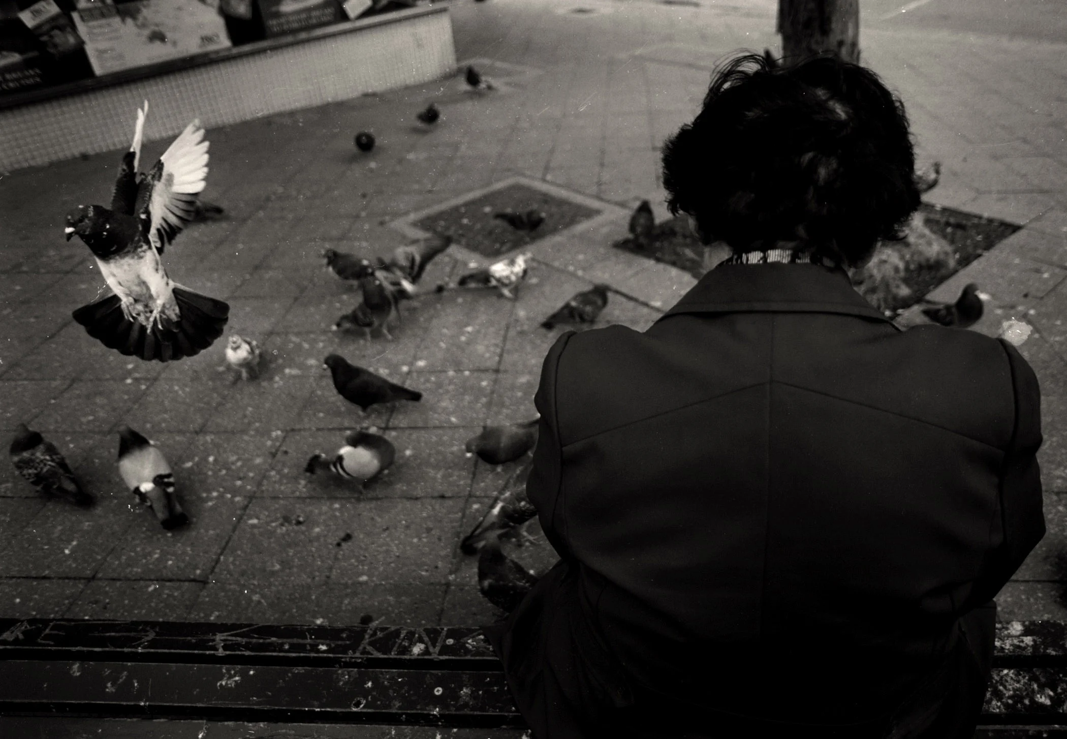 PIGEON LADY2 copy.jpg