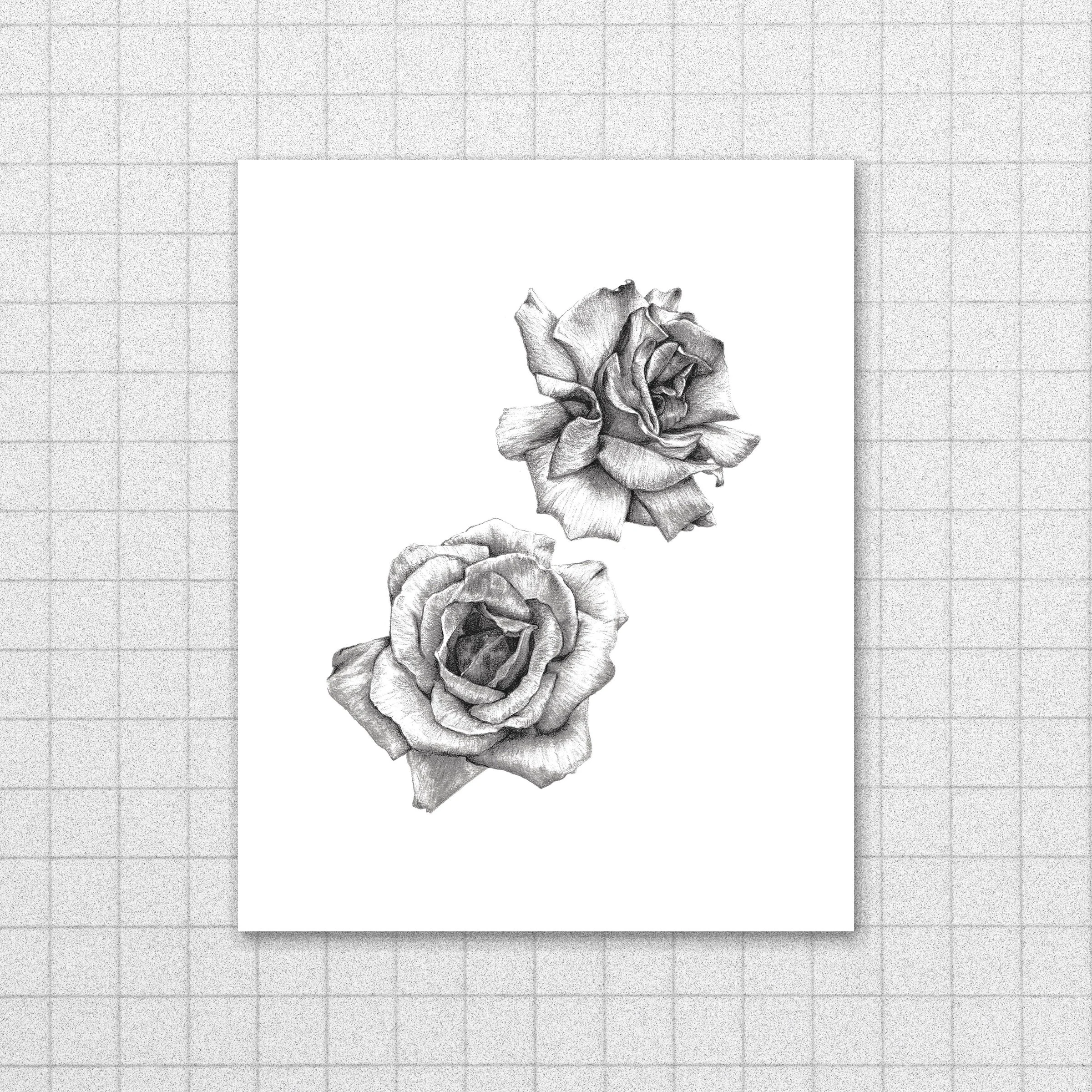 Coming Up Roses Print