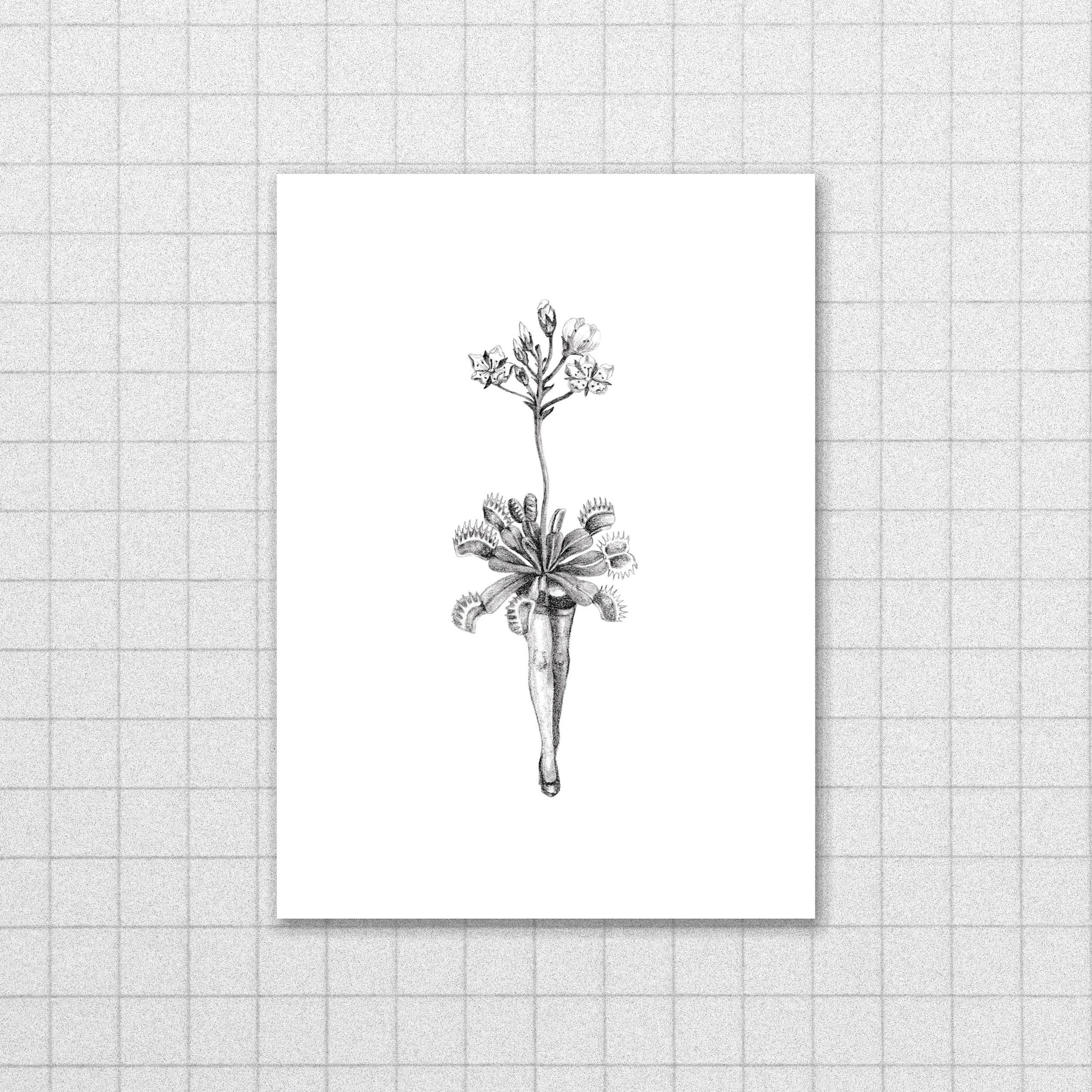 Venus Print