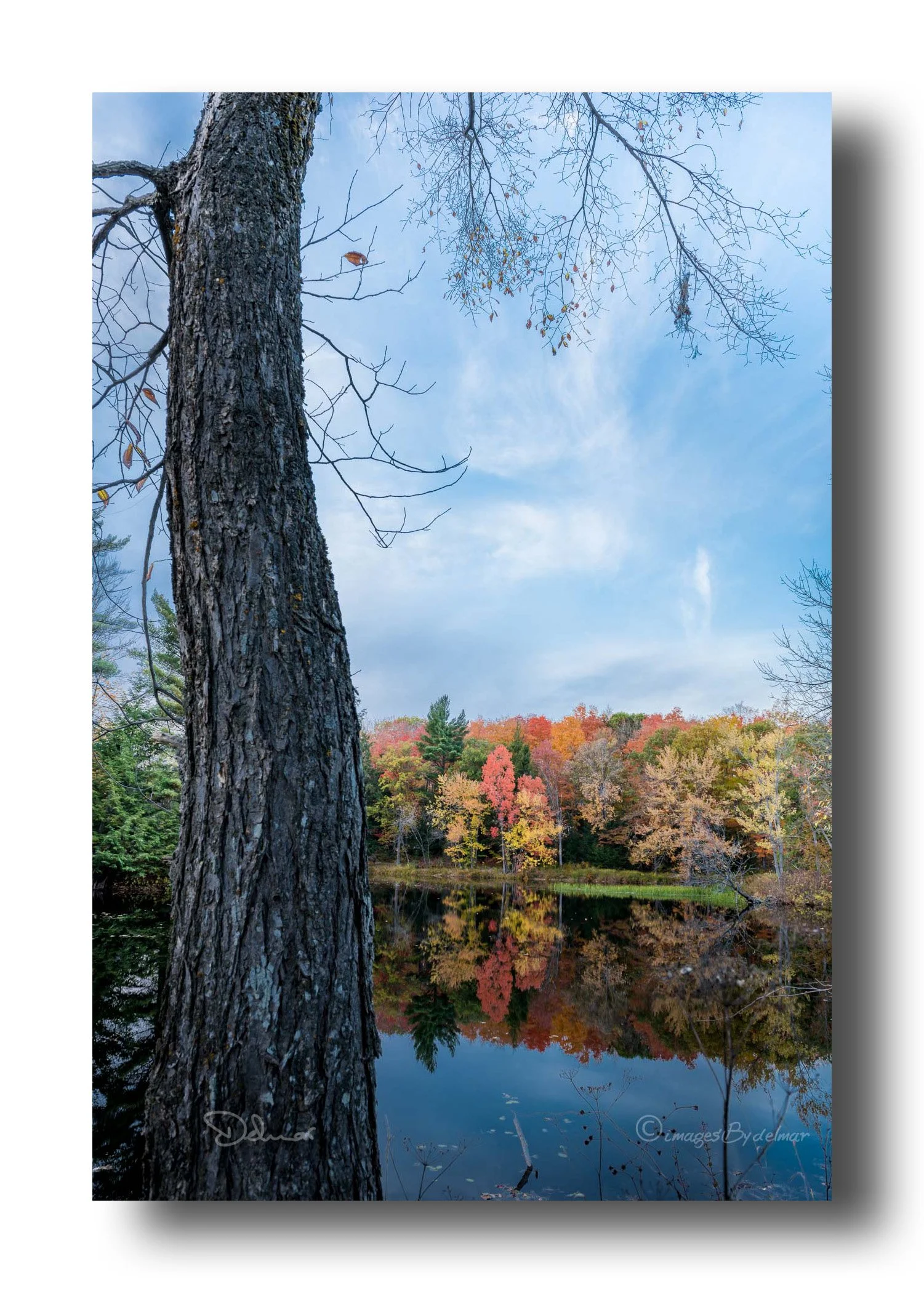 Toronto to Tweed, Landscape Fall Colours