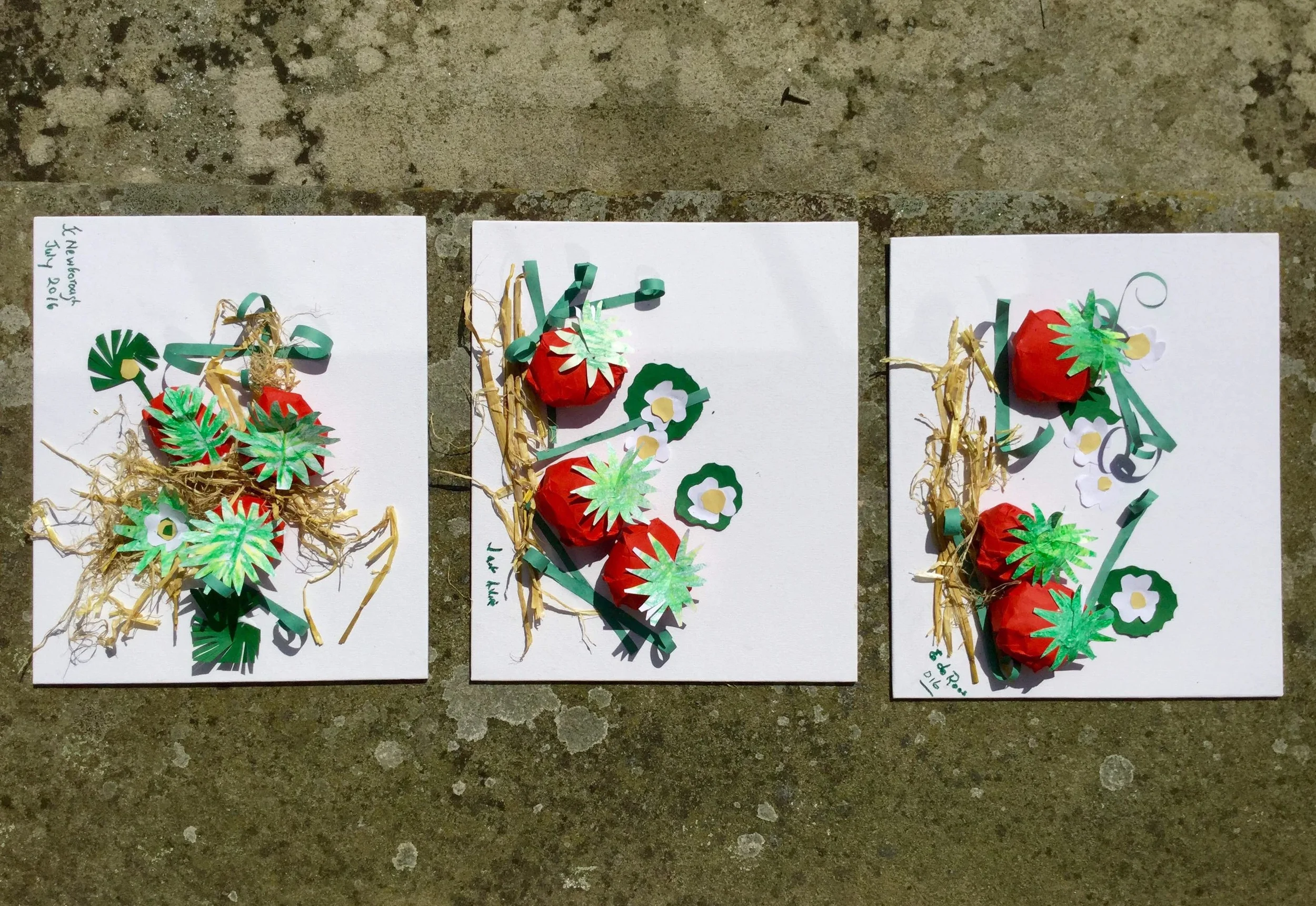 Strawberry artworks made at Newlands of Stow Care Home