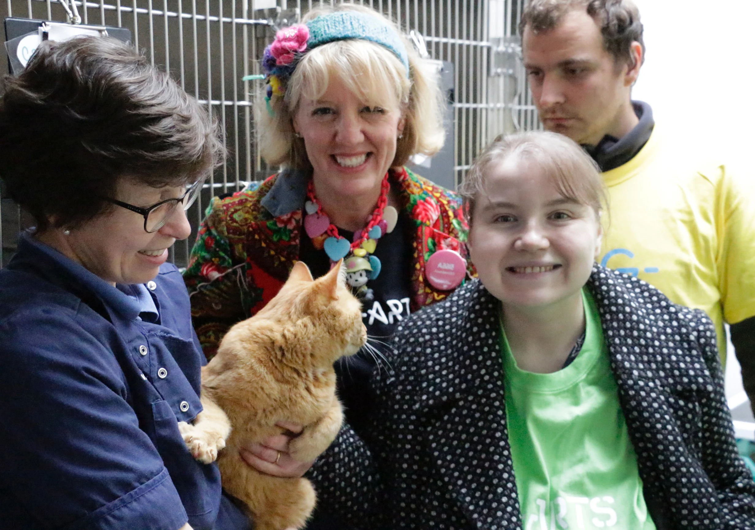 Meeting the cats at West Bar Vets 