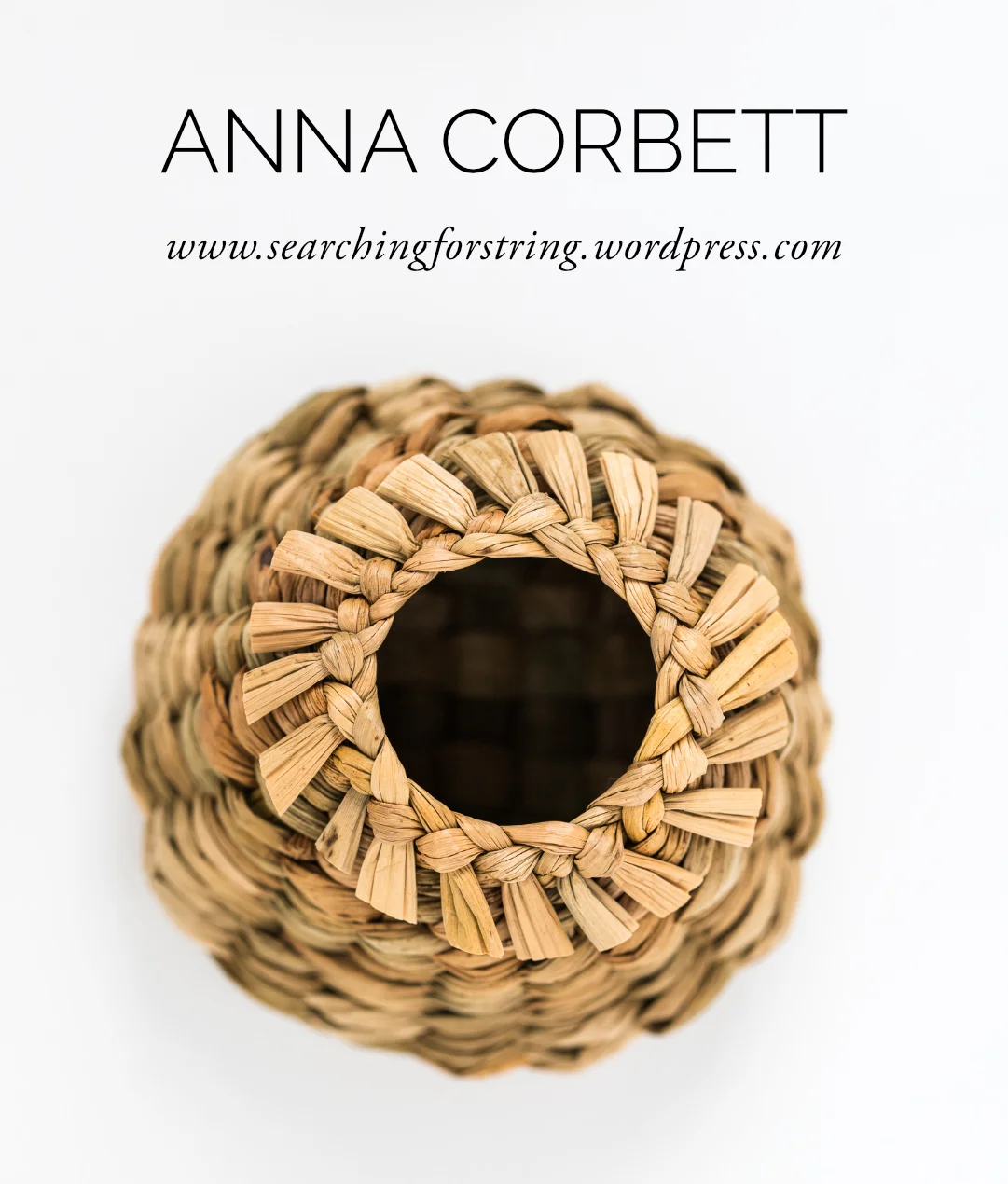 anna-layout-01.jpg