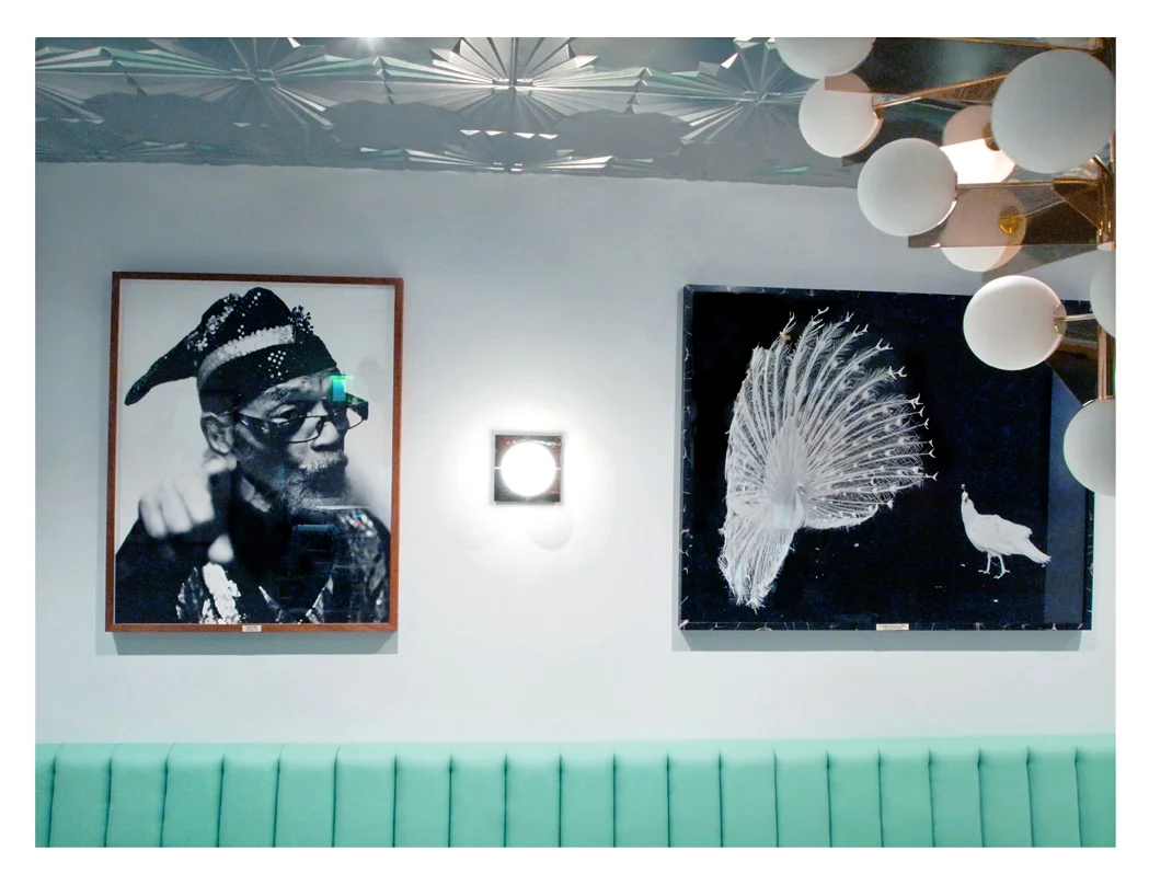 Marshall and the Peacocks