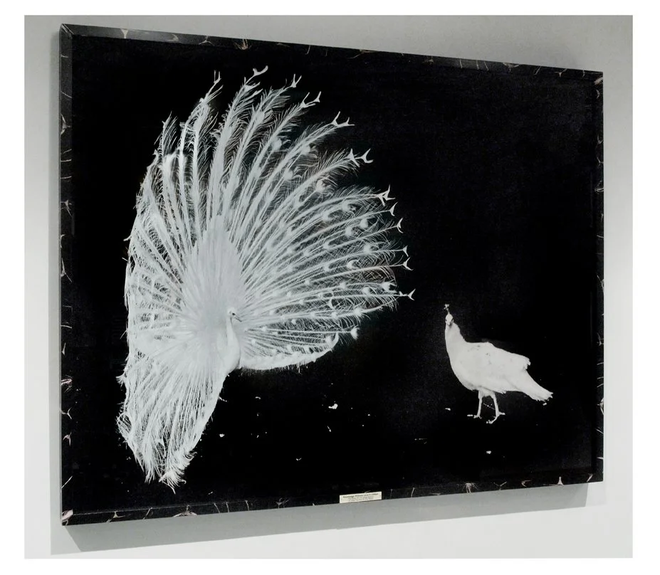 Knowledge Without Love Is Lifeless.jpg