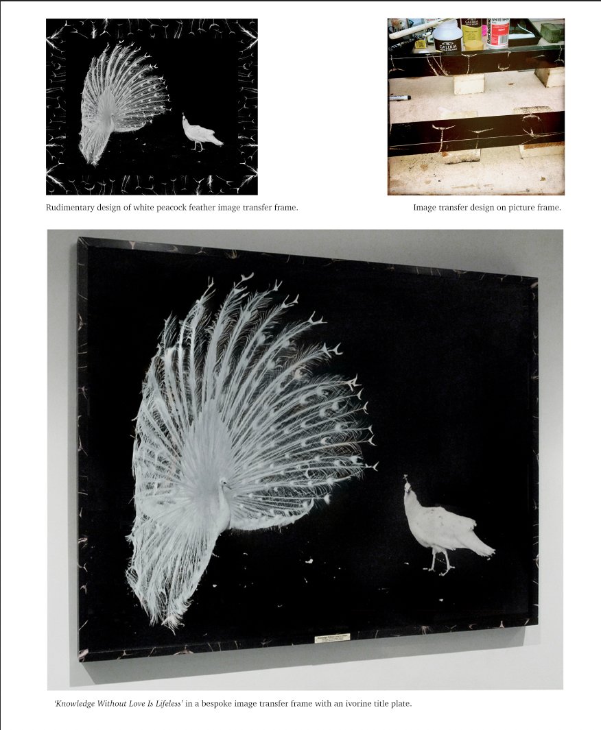 Screenshot 2025-04-23 at 15.39.03.jpg