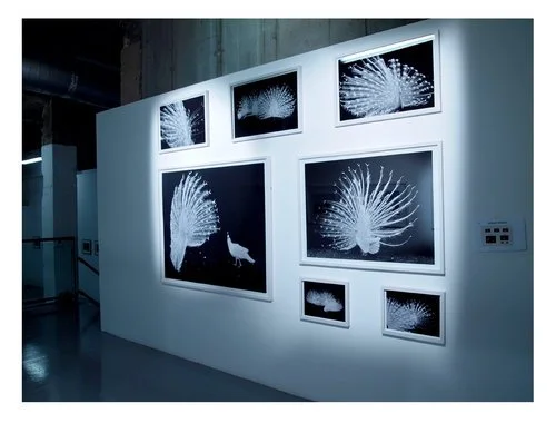 Photo+Art+Fair+2013.jpg