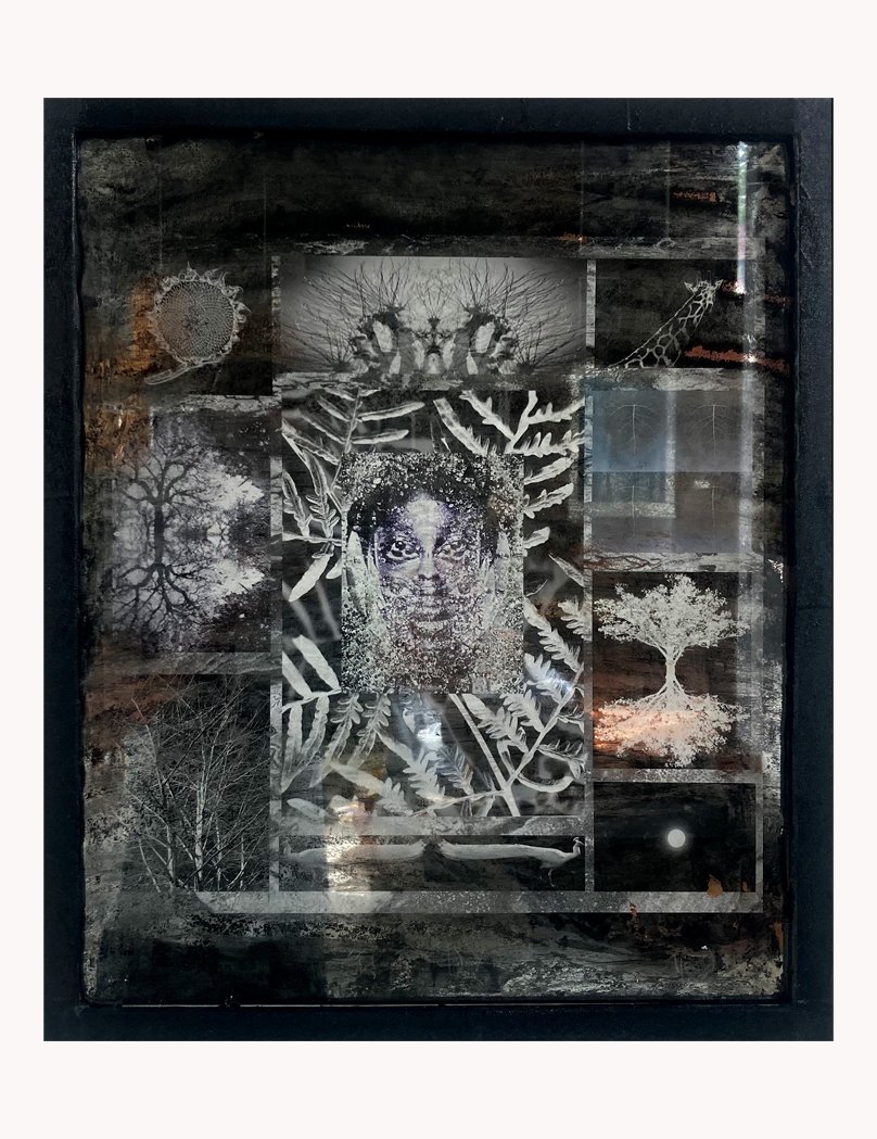 Discipline 27 Framed.jpg