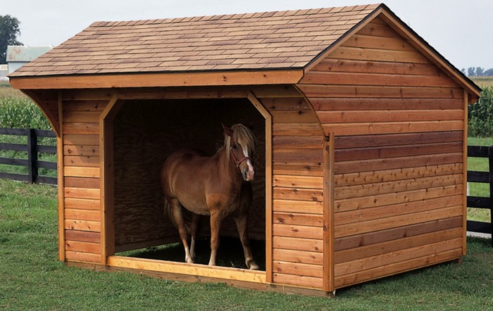 horse-runin10x12c-naturaltan-700w.jpg