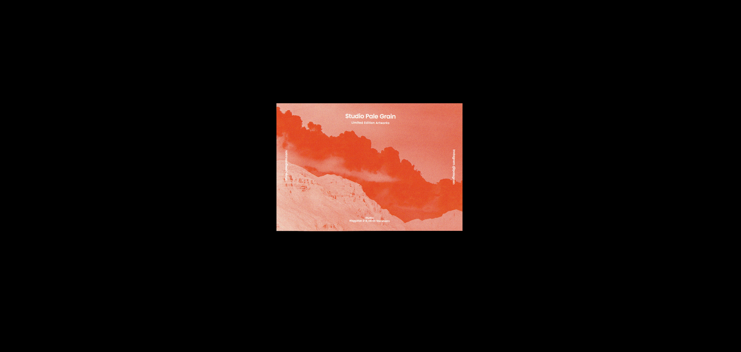 studio-pale-grain.gif