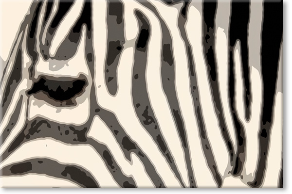 zebra_01_90x60_01.jpg