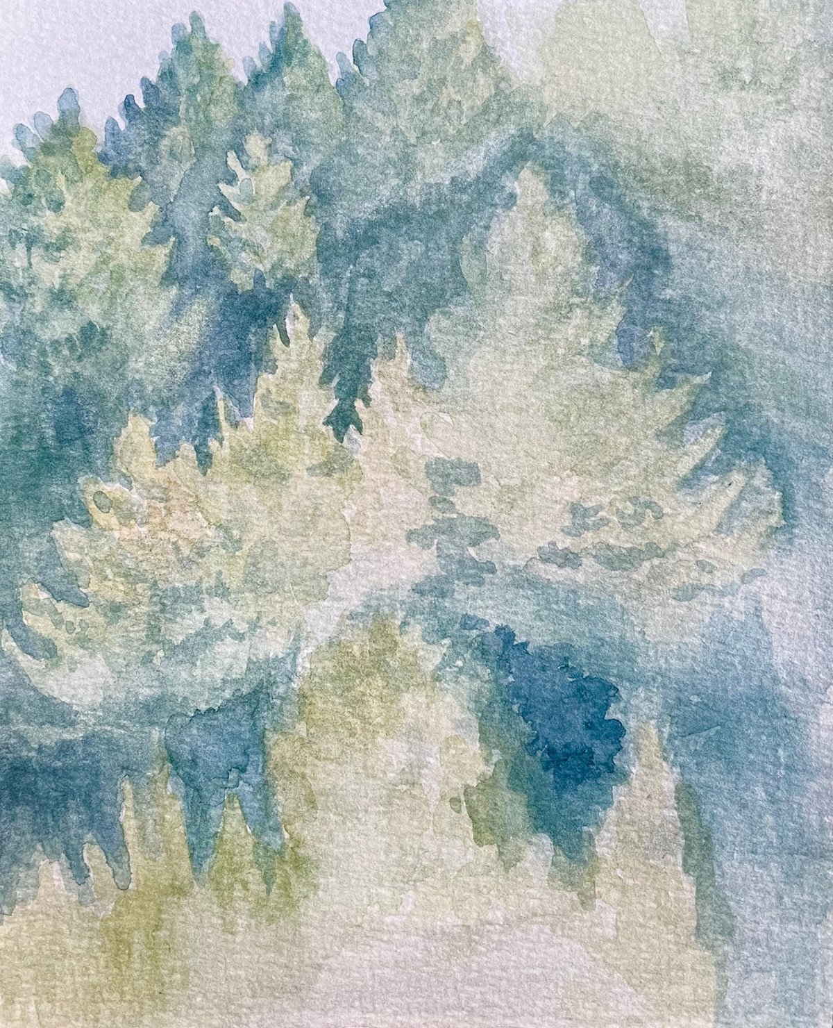 "Evergreens on View from Monte Rio Beach" - original plein air completed in Monte Rio, CA. 2020. Watercolor. $25