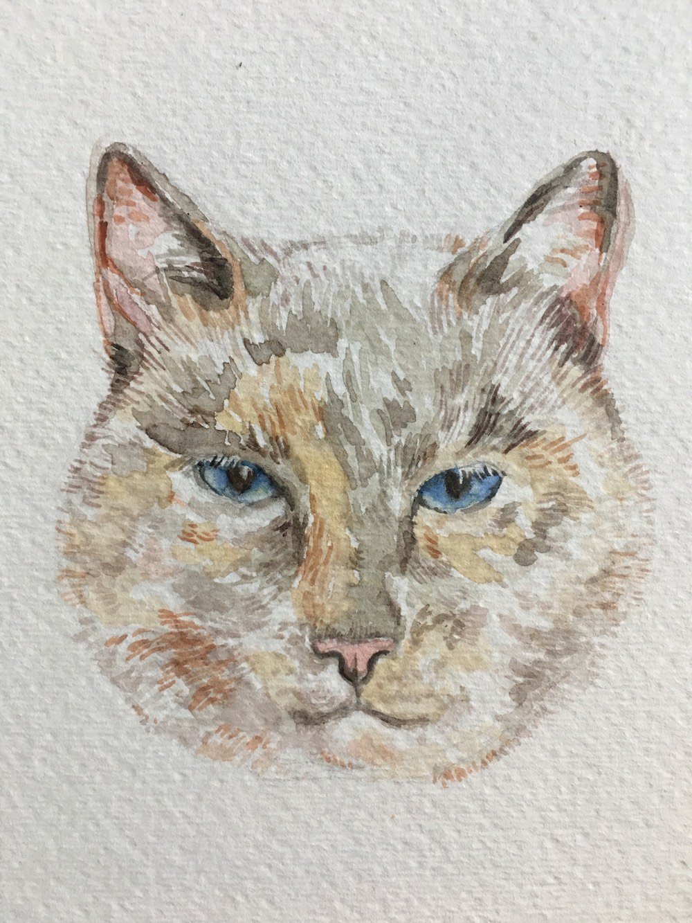 An example of a pet portrait done in watercolor
