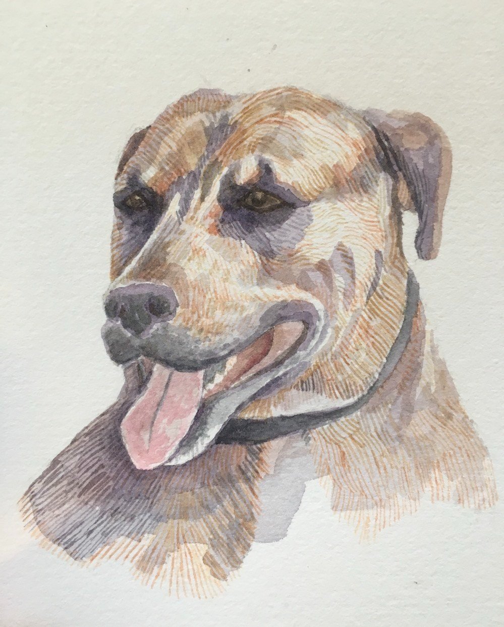 Pet+Portrait+-+Watercolor+Example+SMALLER.jpg
