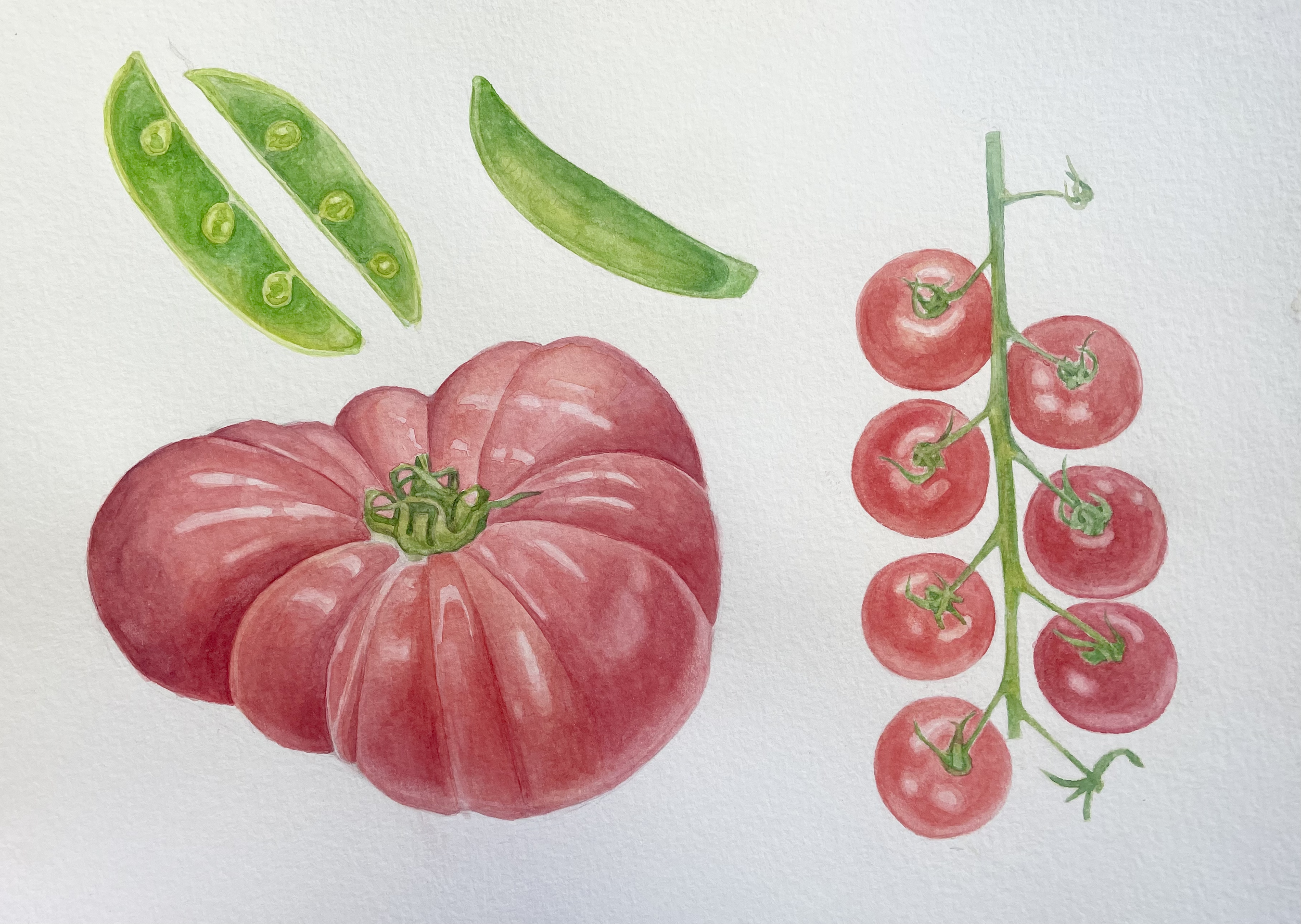 Painting Produce Examples - Tomatoes with Snap pea.png