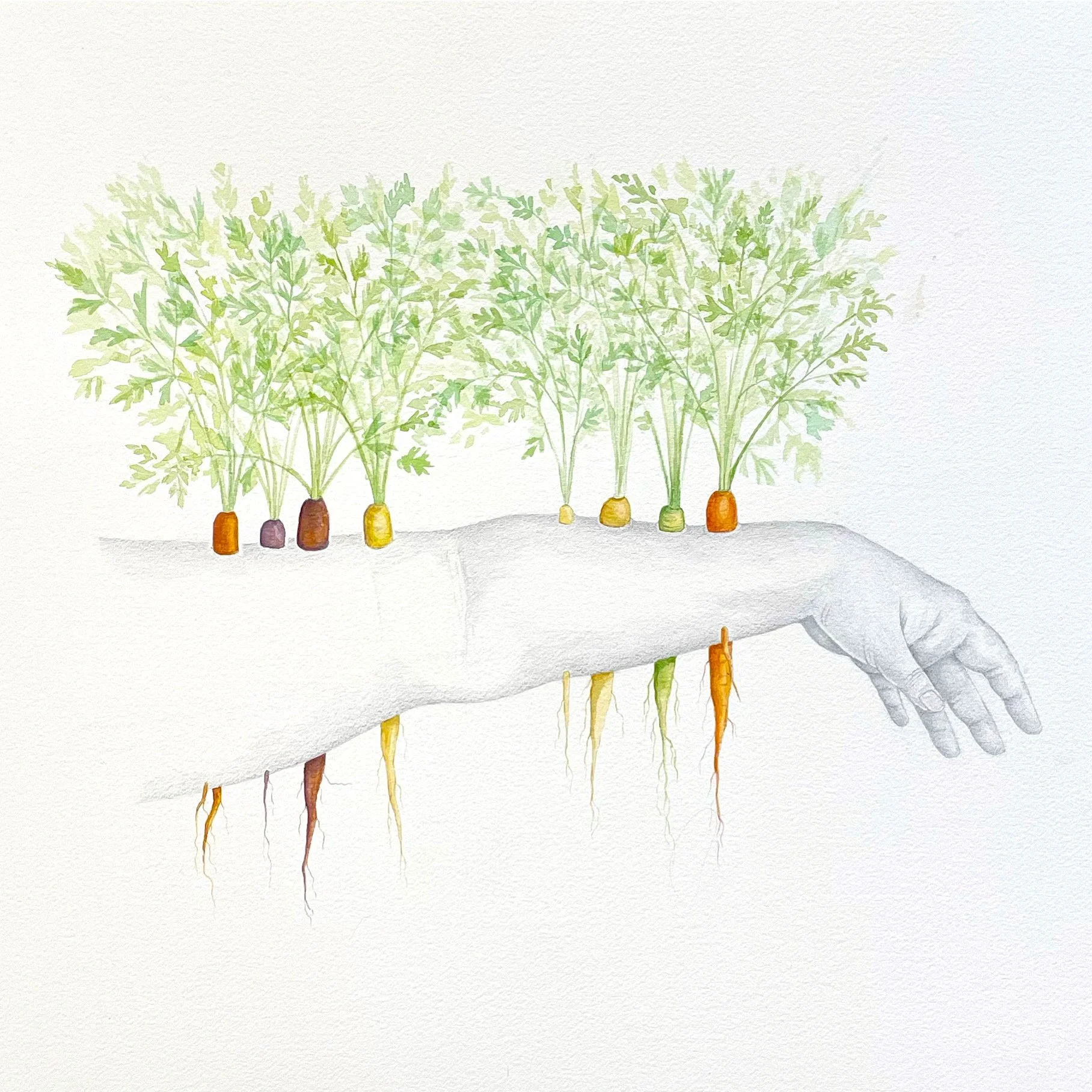 Hannah+Day_Body+Garden_Carrot+Arm_18x24.png
