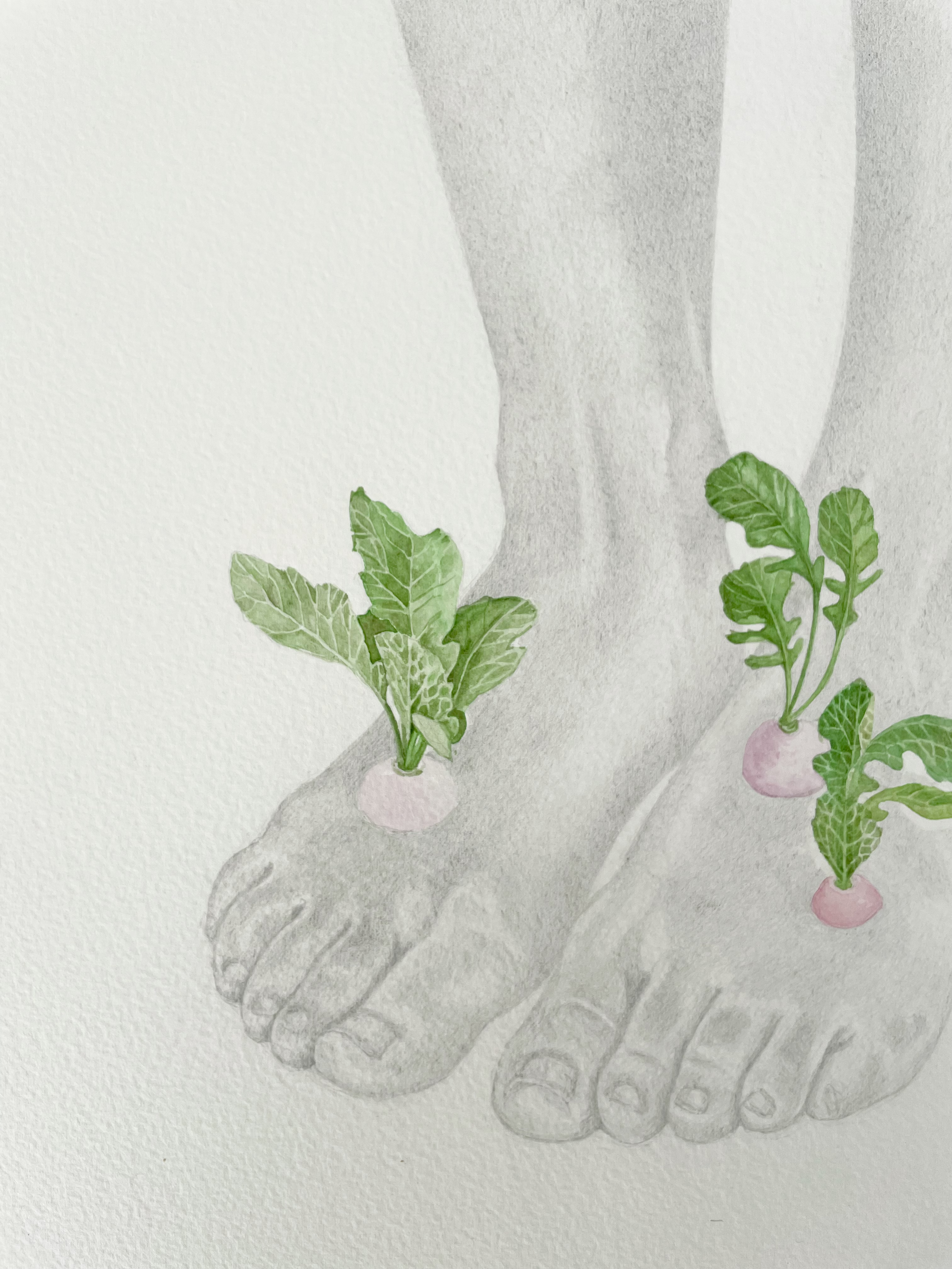 Hannah Day_Body Garden_Radish Foot_Detail 2_22x30.png
