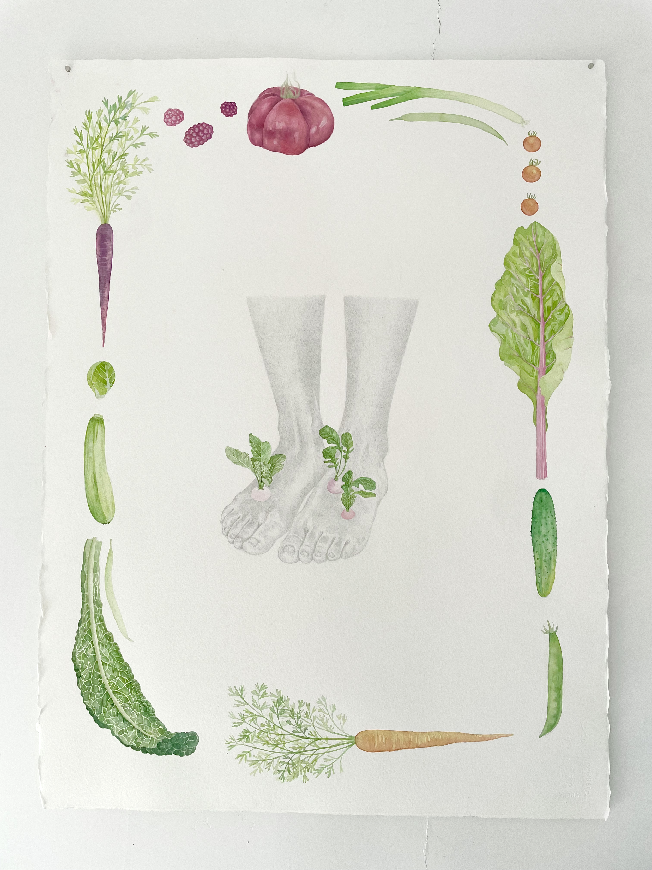 Hannah Day_Body Garden_Radish Feet_Hanging Full Comp_22x30.png