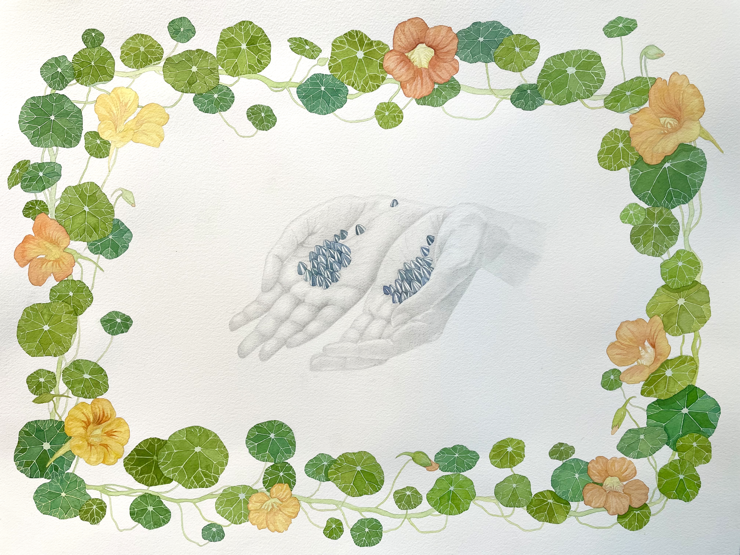 "All I have" Graphite and Watercolor on Arches. 18" x 24". 2024.