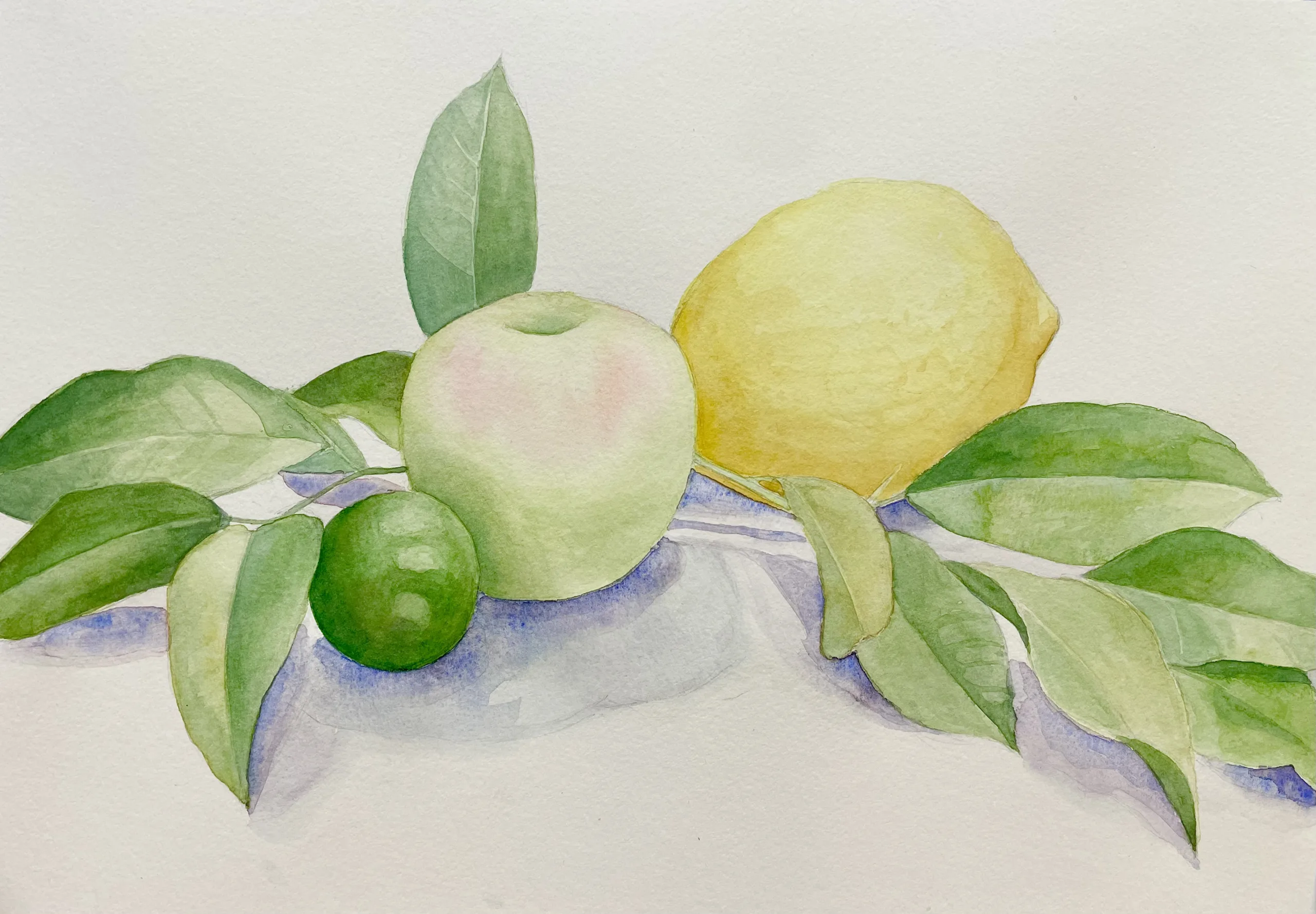 Lemons & foliage.png