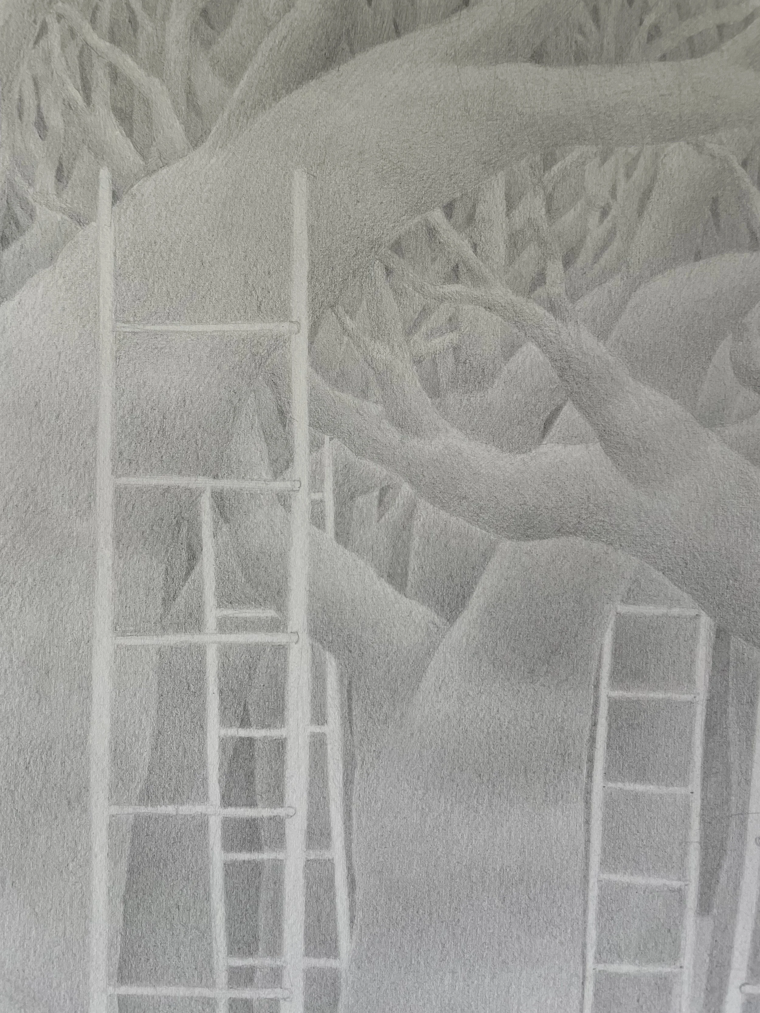 IMG_1584.jpeg