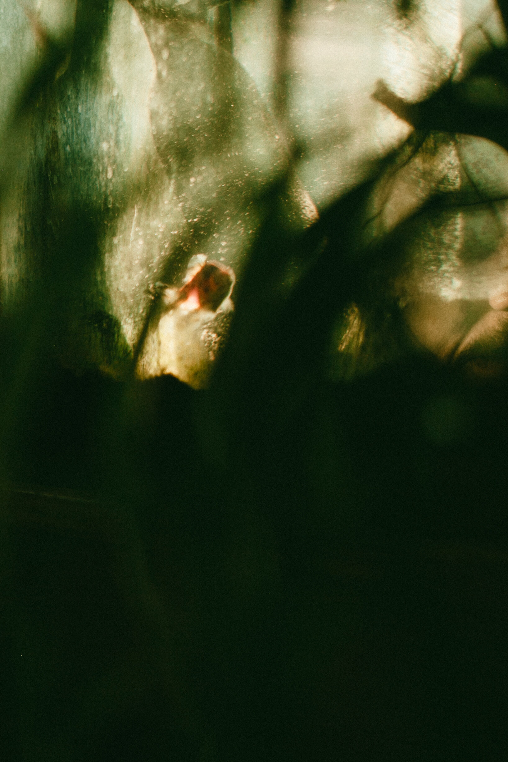 NOAH GUNDERSEN-87.JPG