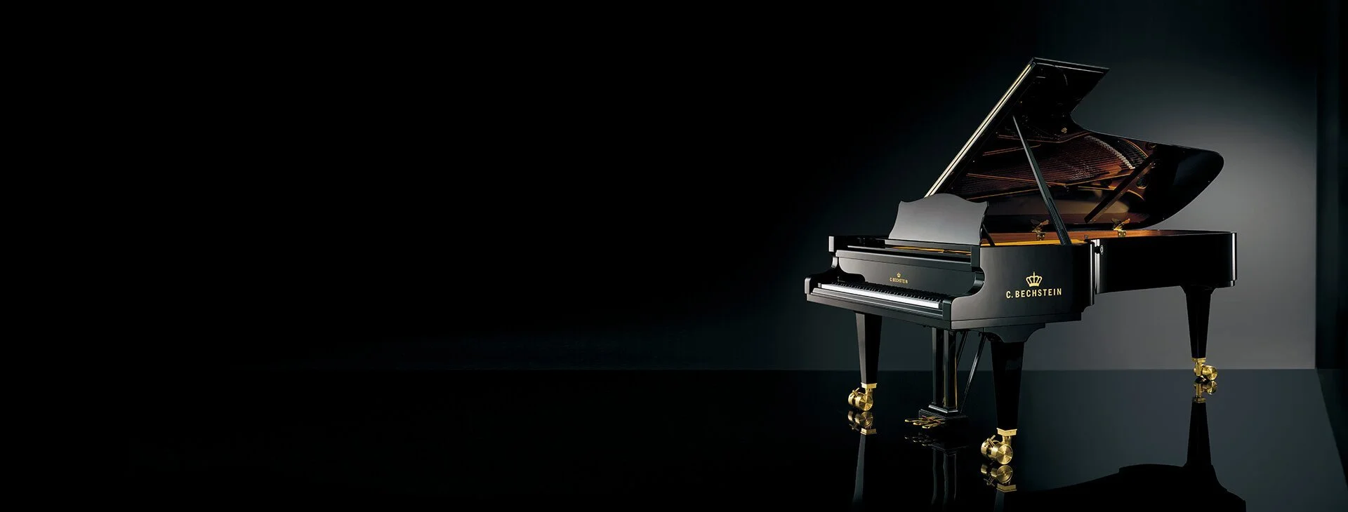 C.Bechstein BerlinShowroom Private Recital