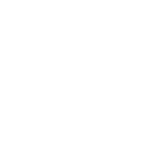 the brand photo consultant STUDIO photography.png