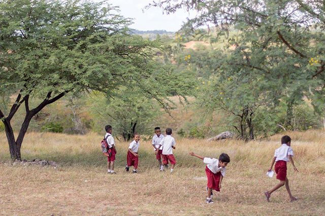 You can help us to build the new classrooms and other essential buildings at Puri Bunda School in West Timor. Visit https://www.gofundme.com/puri-bunda-school for more information .
.
.
.
 #education #school #poverty #refugees #teachers #Timor #Indon